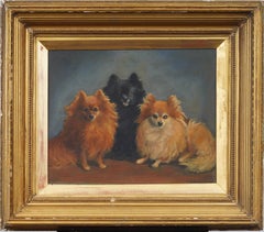 Antico ritratto di cane americano di razza Pomerania con cornice dorata