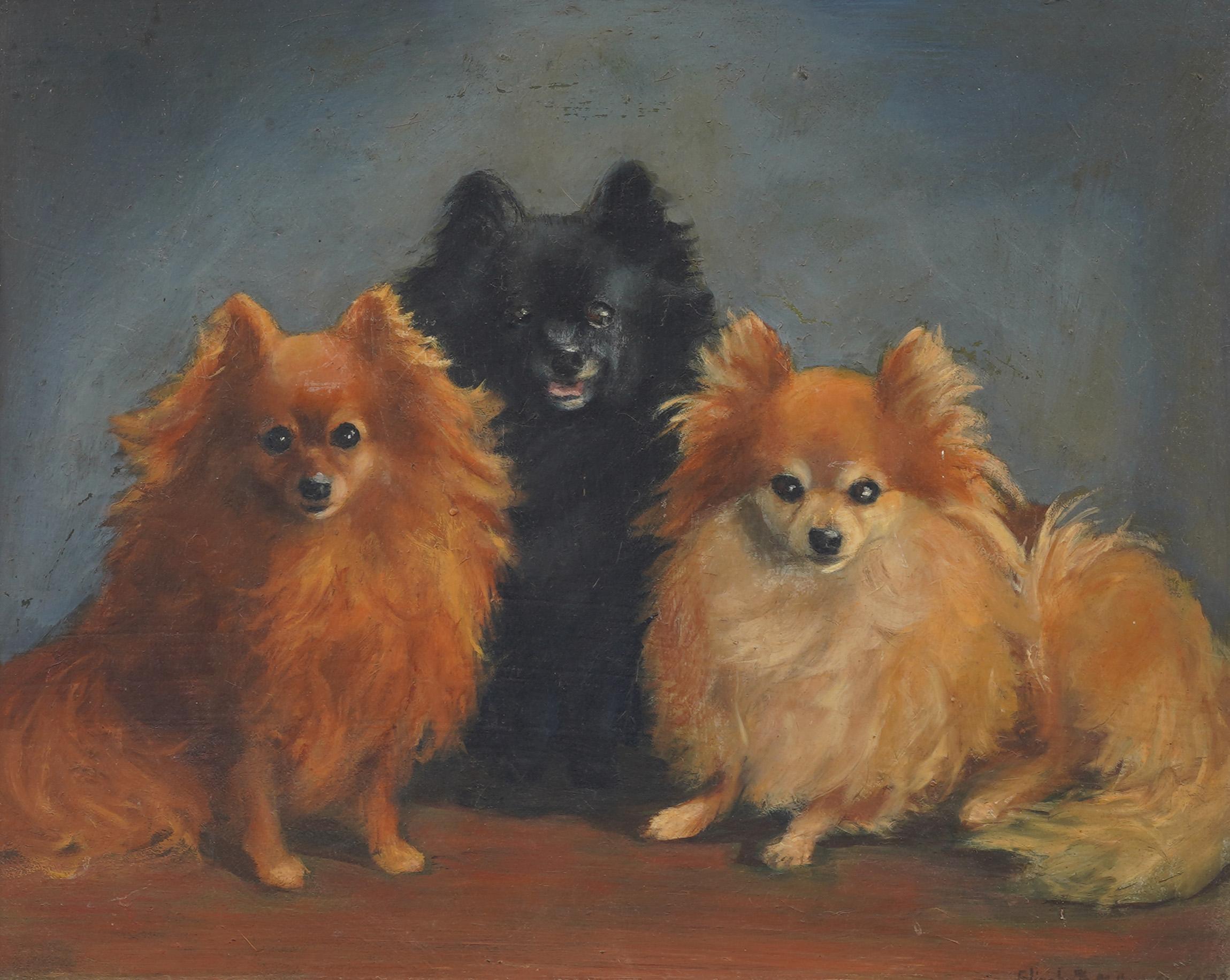 Antico ritratto di cane americano di razza Pomerania con cornice dorata - Painting Realismo di Unknown