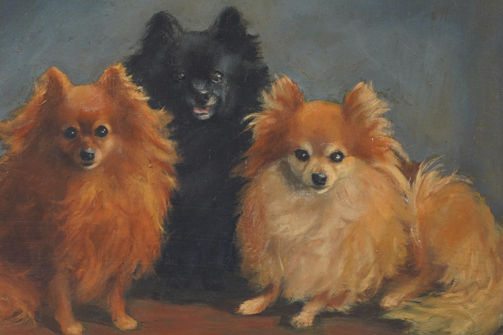 Incredibile ritratto di cane americano firmato.  Olio su tavola.  Firmato.  Custodito in una cornice d'epoca in legno dorato.  