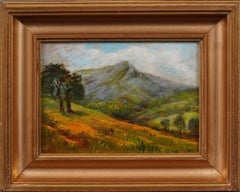 Antico dipinto americano ad olio con cornice California Wild Flower Landscape