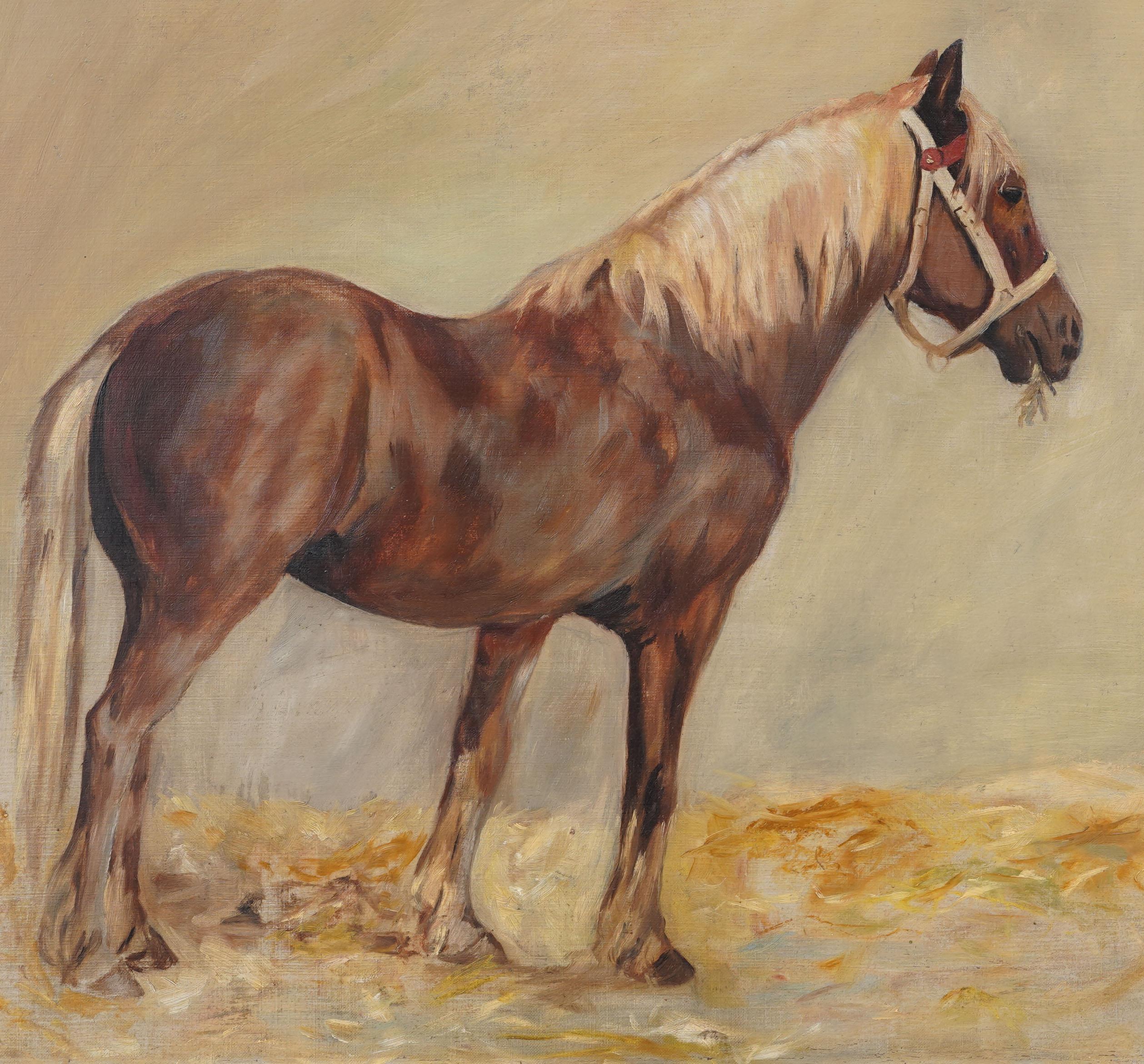Ancienne peinture impressionniste américaine de portrait de cheval. Huile sur toile. Encadré.  Dimensions : 33 par 30 pouces sur l'ensemble, et 26 par 24 pour la peinture seule.  En excellent état d'origine. Joliment encadré dans une moulure