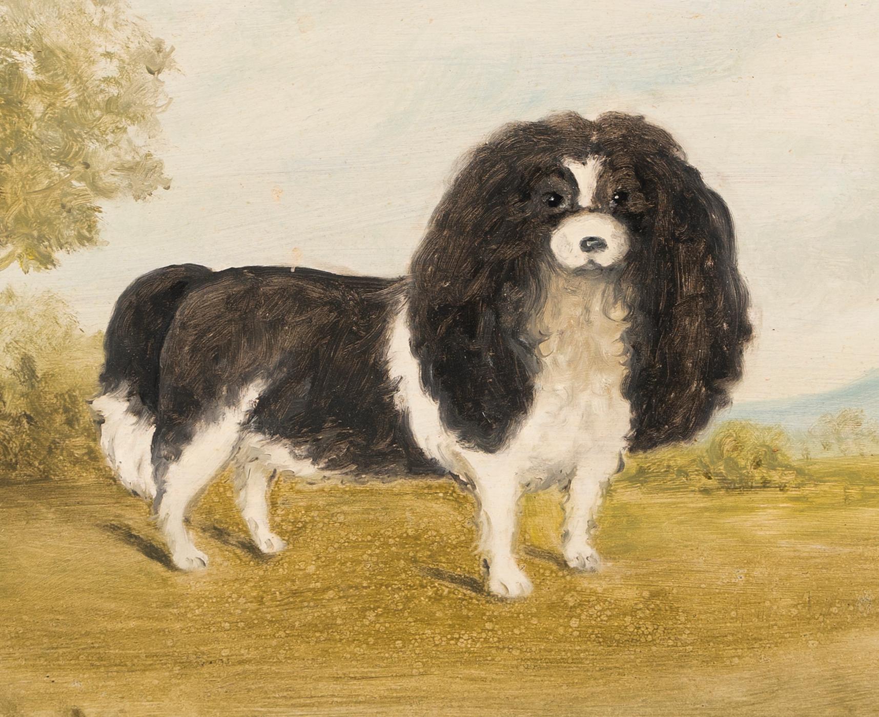 Vintage American portrait of a spaniel dog in a summer landscape.  Oil on board, circa 1920.  No signature found.  Image size, 20L x 16H.  Housed in a period wood frame.