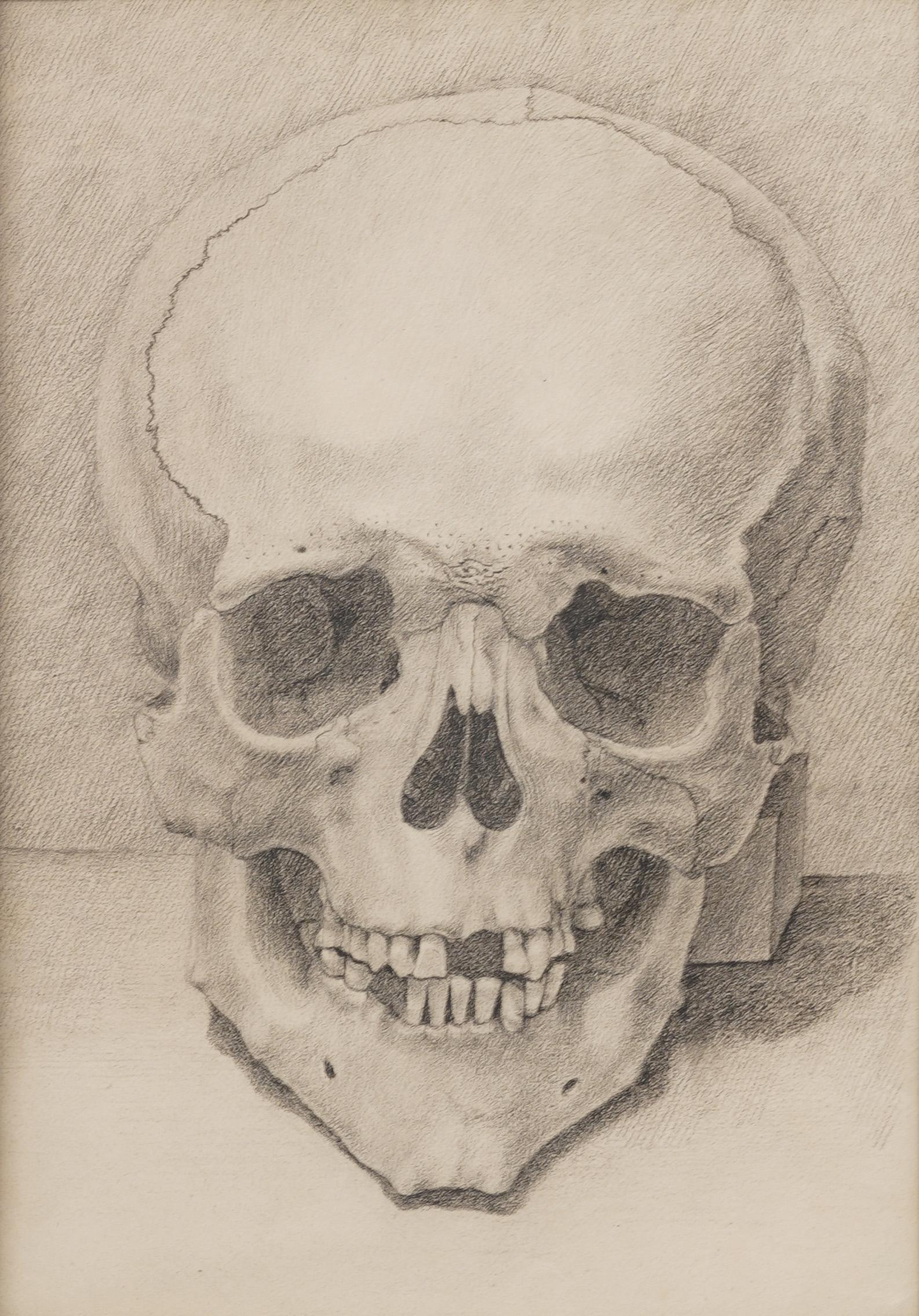 Antique American or European Trompe L'oeil Realist Macabre Skull Framed Drawing - Beige Still-Life Painting by Unknown