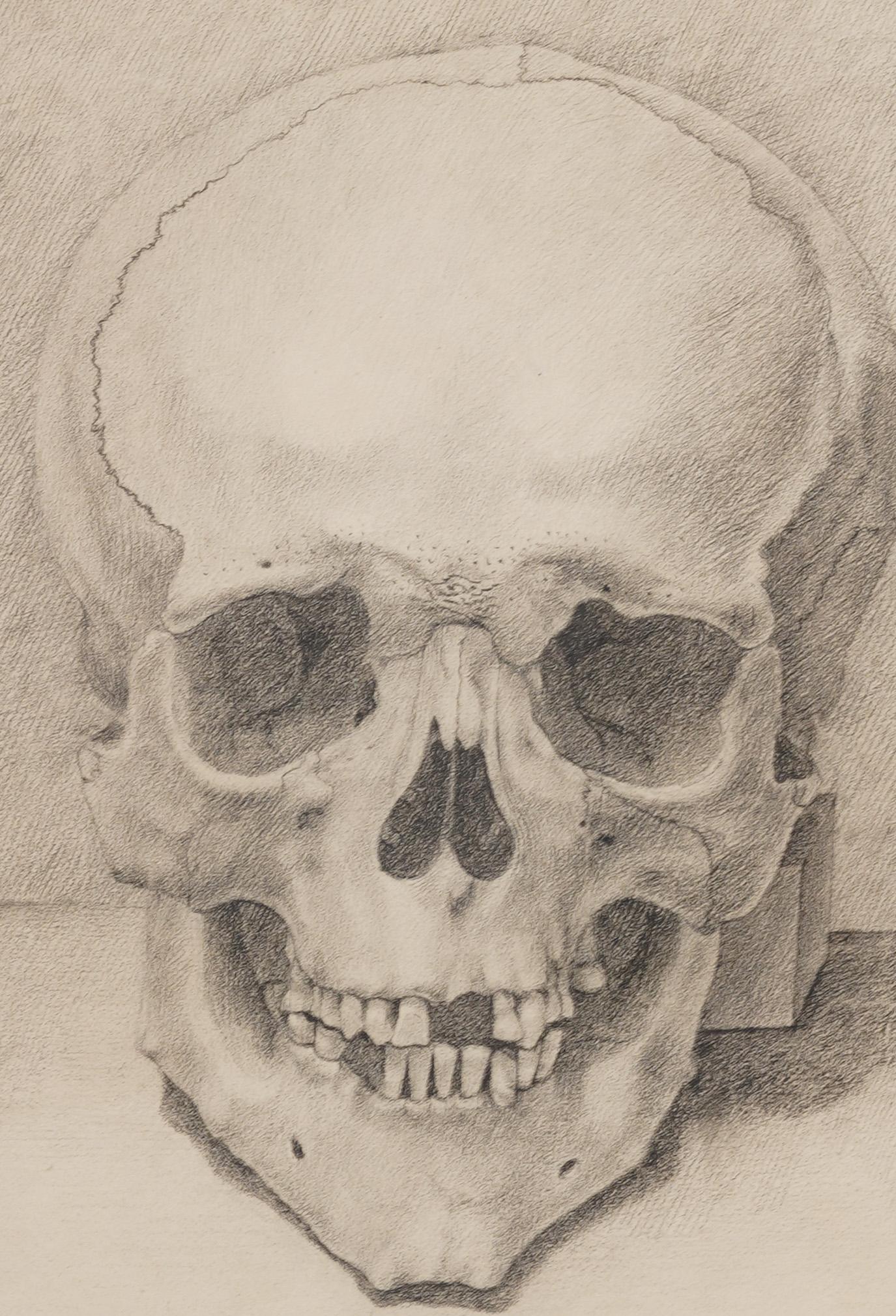 Antique American or European Trompe L'oeil Realist Macabre Skull Framed Drawing For Sale 1