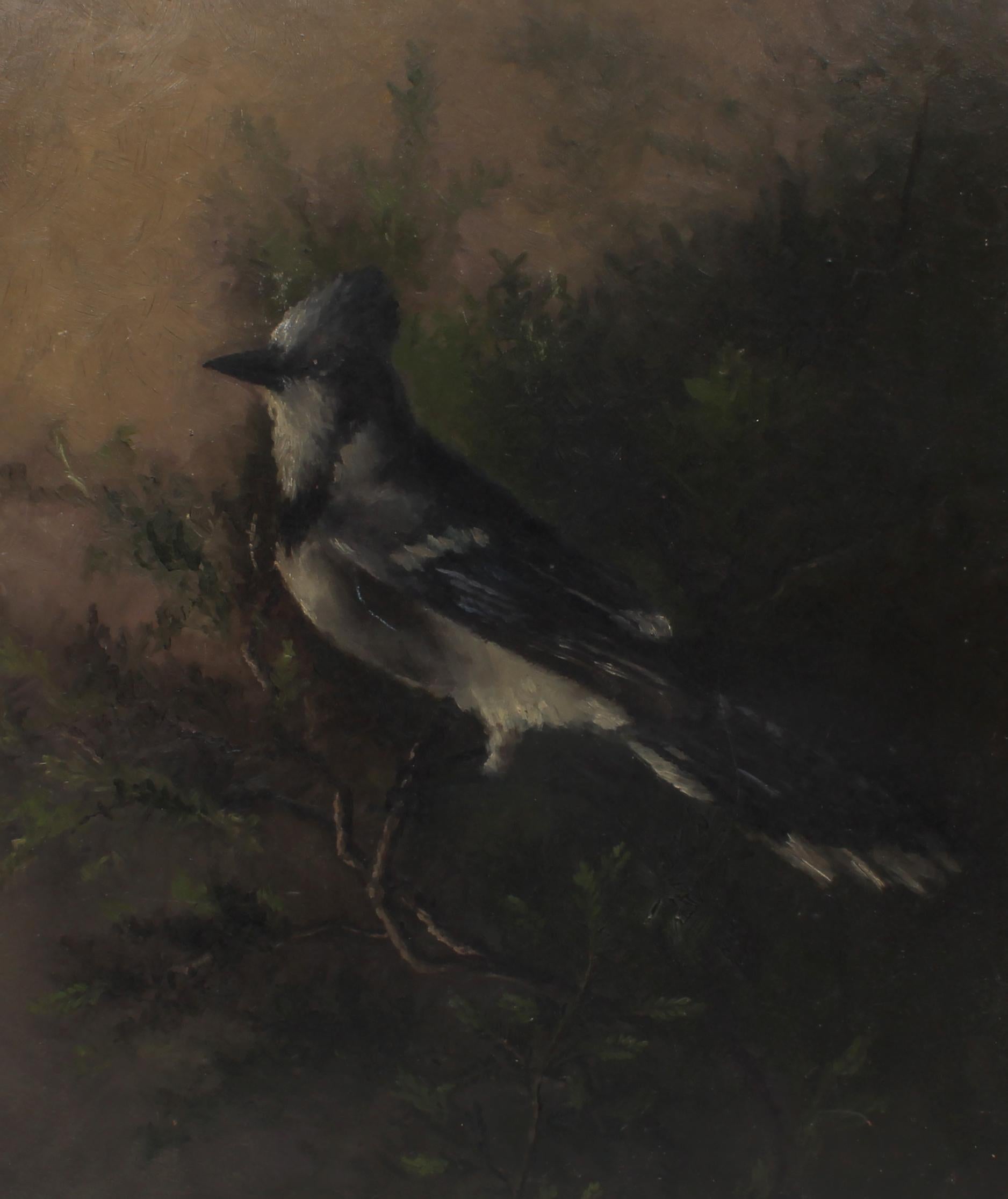 Antike amerikanische Realist figurative Vogel in Branch Blue Jay – Painting von Unknown