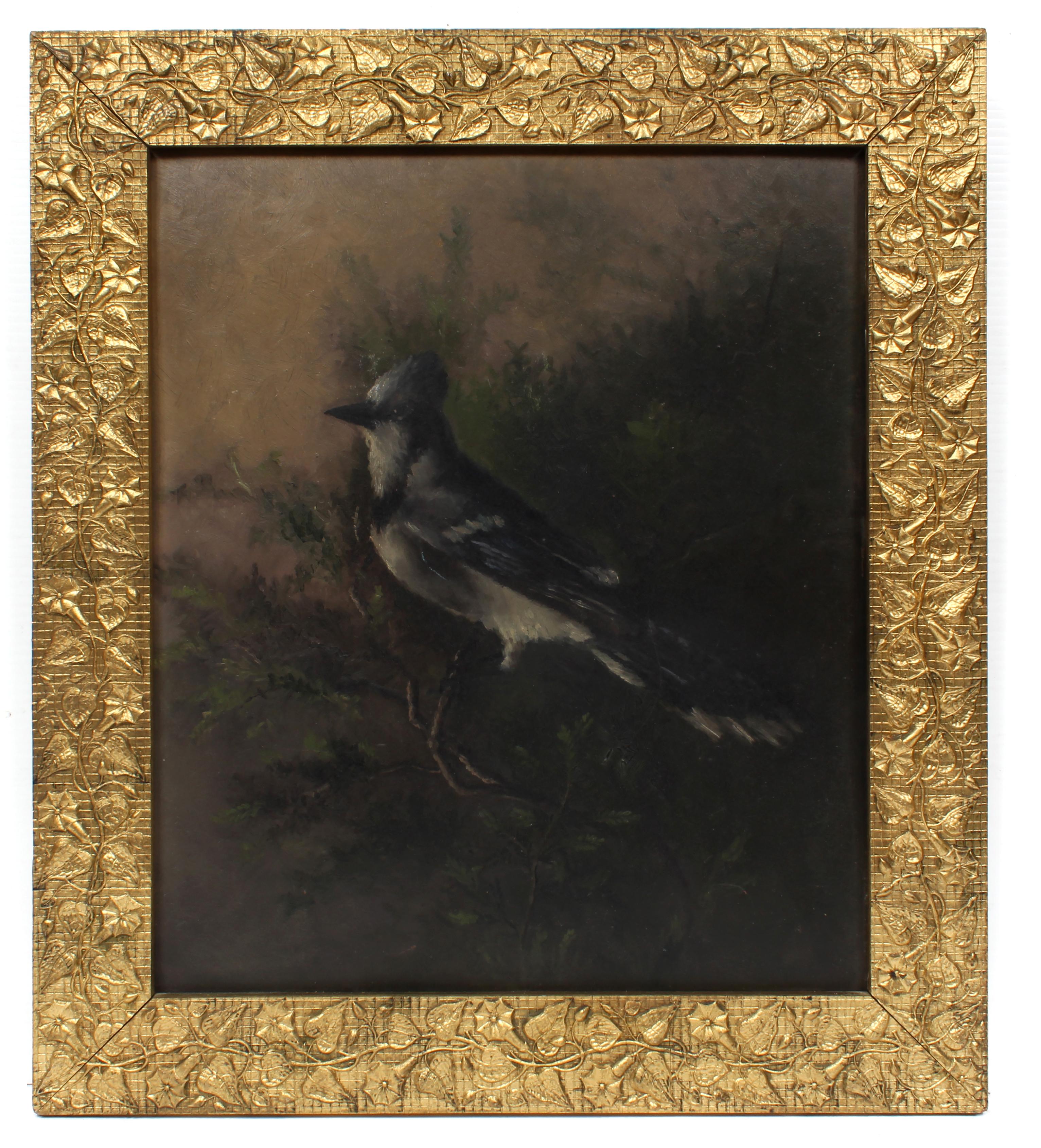 Figurative Painting Unknown - Antique Figurative réaliste américaine Oiseau dans une branche Geai bleu
