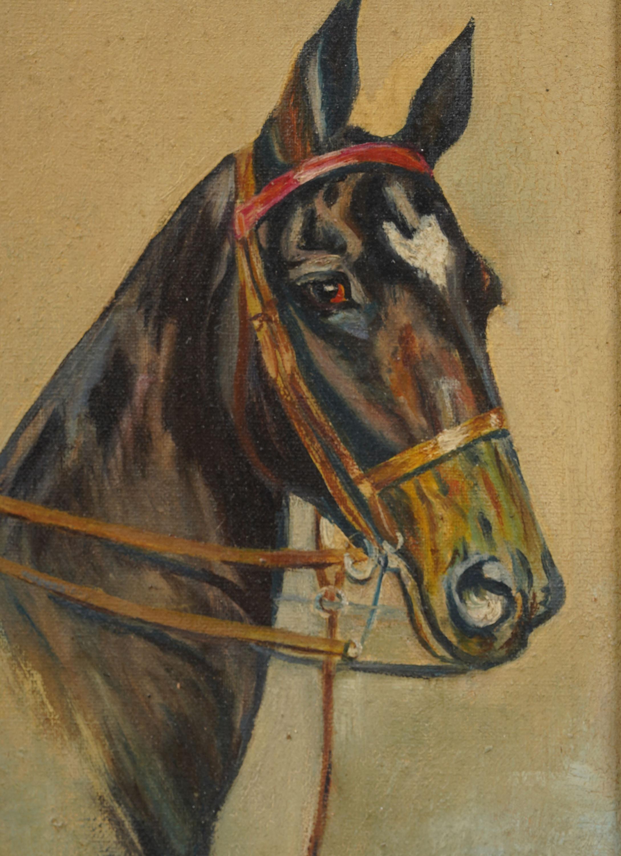 Antike amerikanische Realist Pferd Porträt gerahmt Original Ölgemälde (Braun), Animal Painting, von Unknown