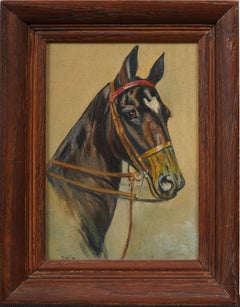 Antico ritratto di cavallo realista americano, dipinto ad olio originale incorniciato