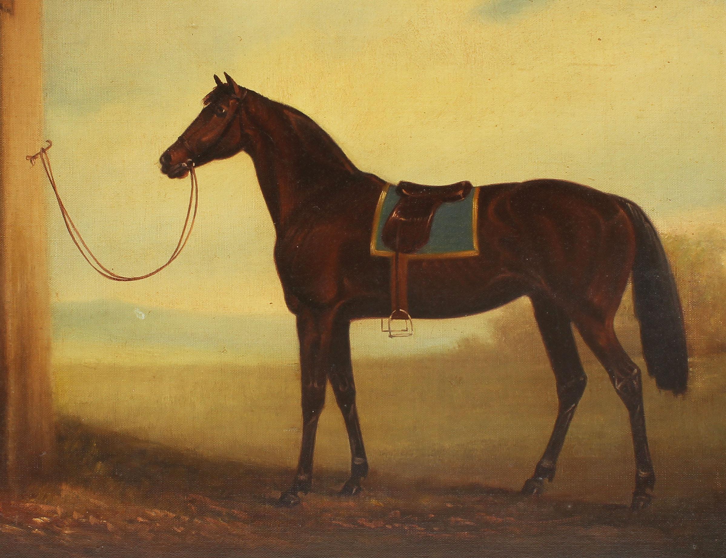 Antique American School Equestrian Horse Portrait Brown Stallion Oil Painting 3