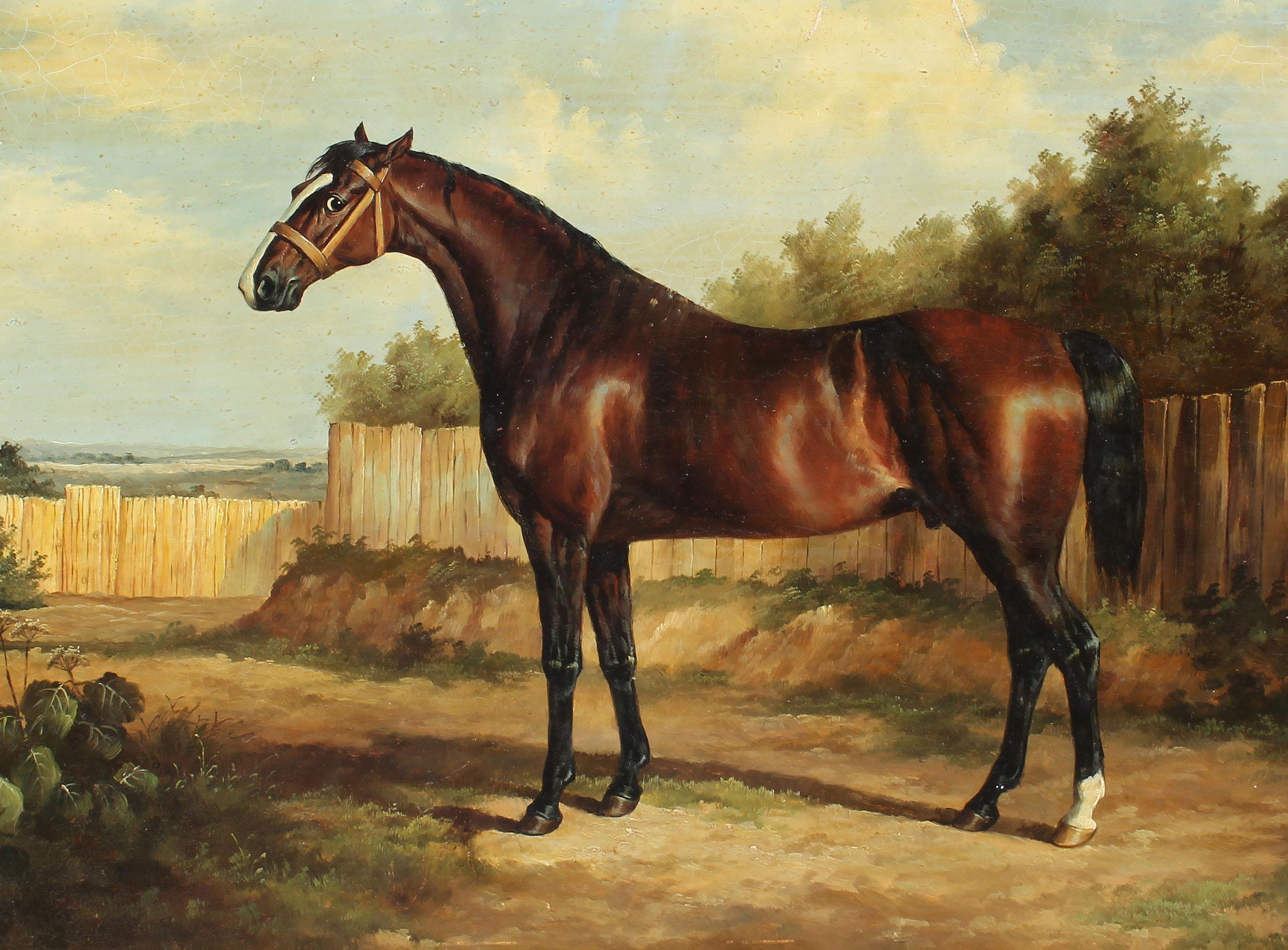 horse oil paintings antique
