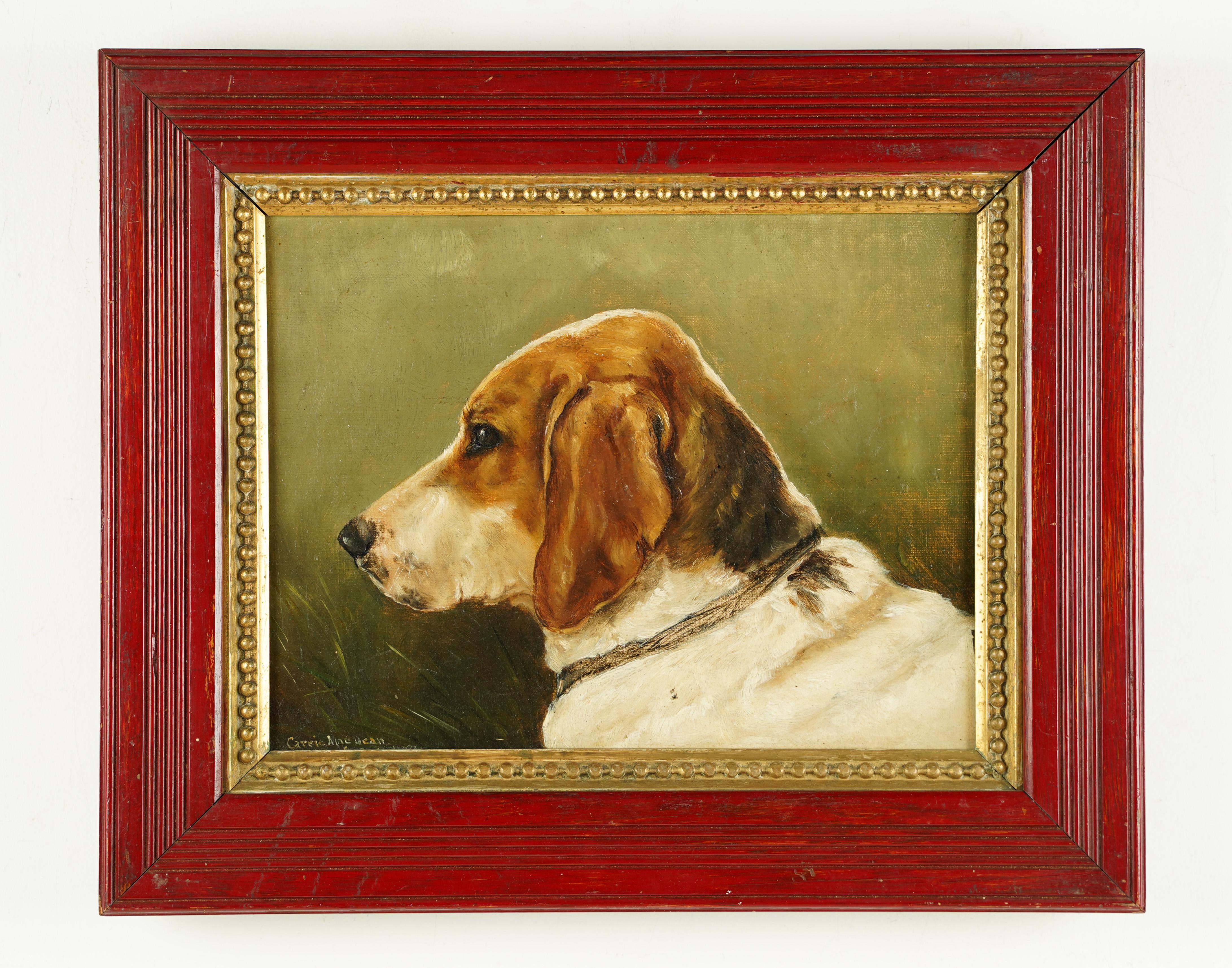  Antique American School Signed Pensive Beagle Dog Animal Portrait Oil Painting 1