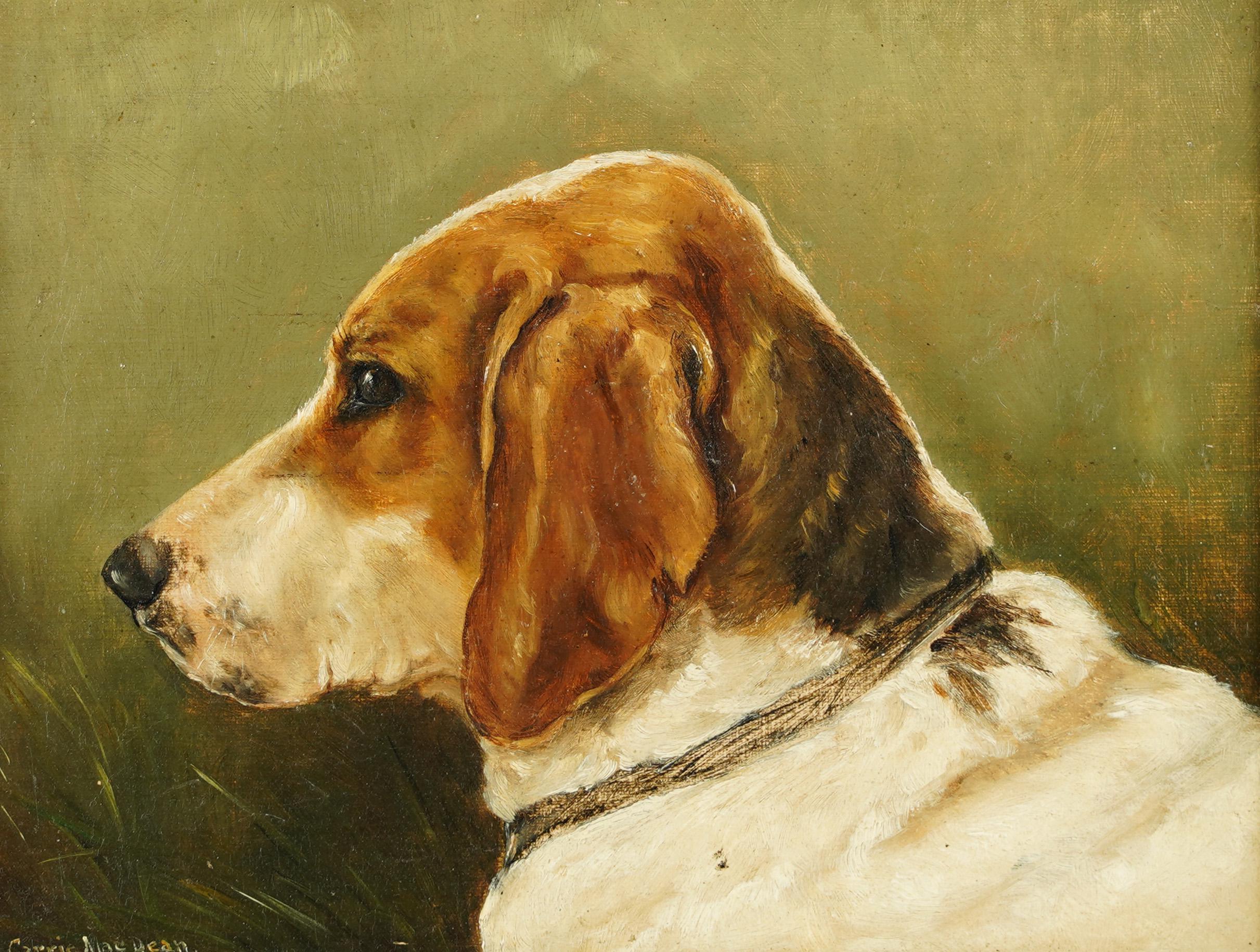  Antique American School Signed Pensive Beagle Dog Animal Portrait Oil Painting 2