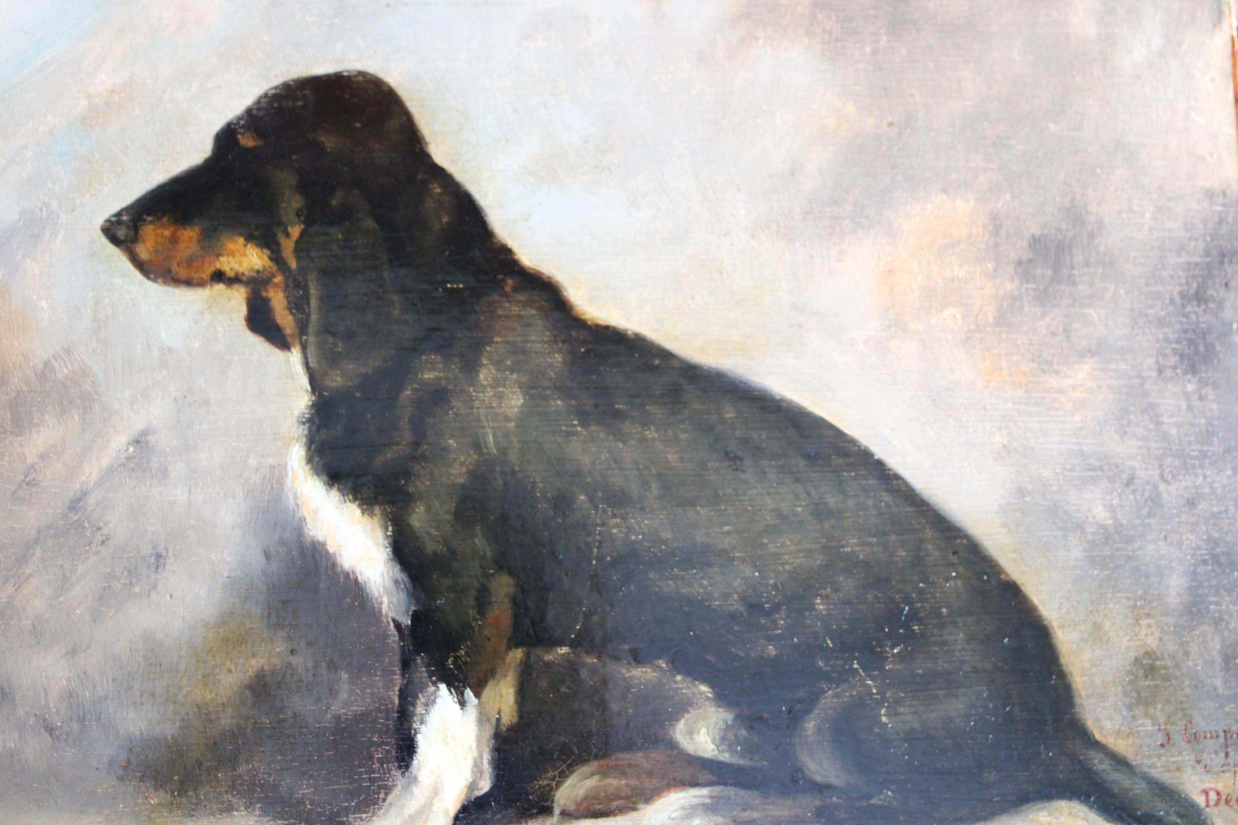 Antique dog portrait, portrait of a basset hound, animal portrait 4