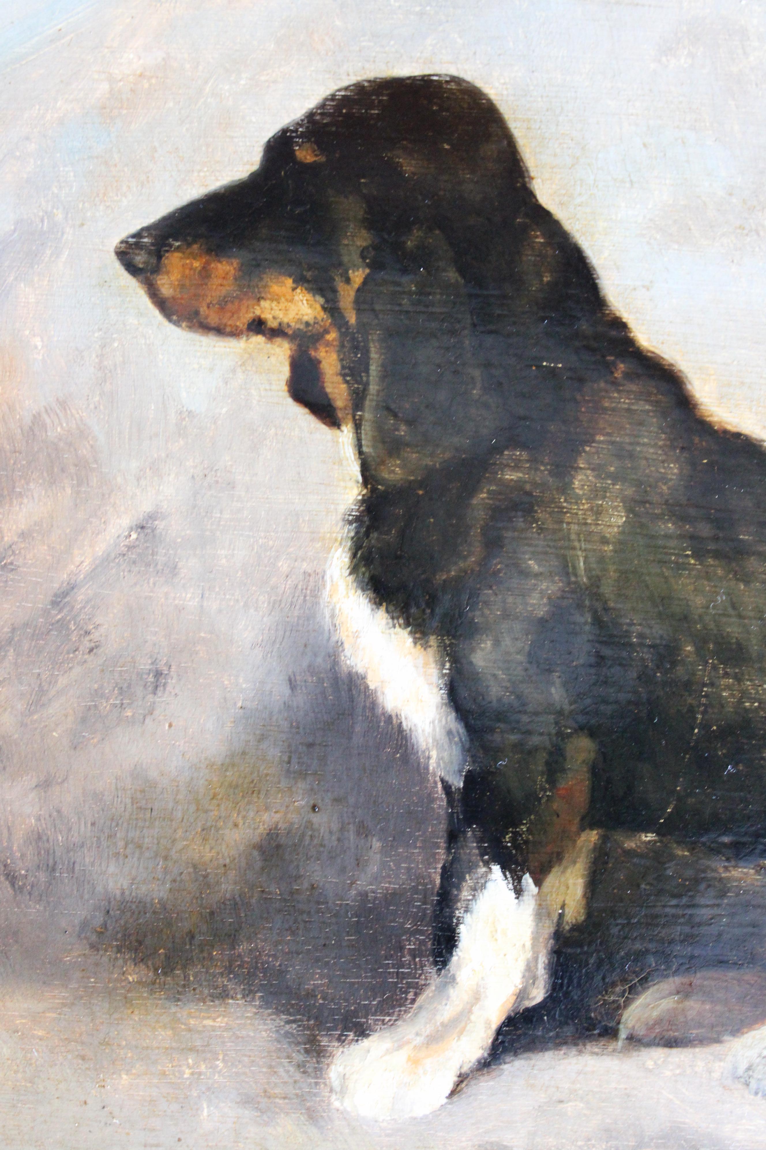 Antique dog portrait, portrait of a basset hound, animal portrait 5