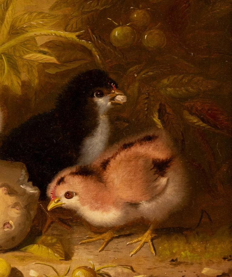 Antique Early American Woman Artist Animal Portrait Baby Chicks Signed Painting For Sale 4