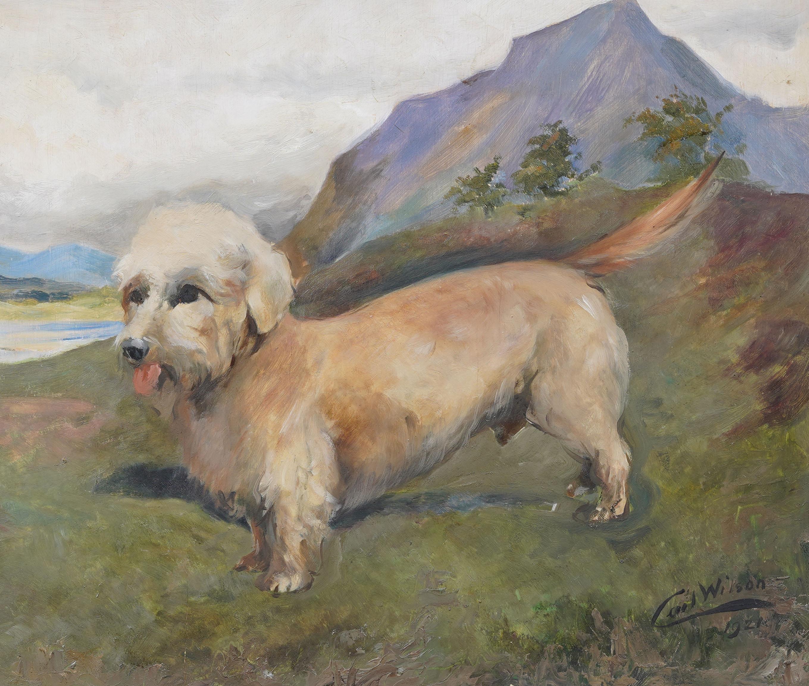 Antico ritratto di cane inglese dipinto ad olio. Olio su tavola. Incorniciato.  Firmato.  Misure: 28 x 31 pollici in totale e 20 x 24 solo per il dipinto.  In eccellenti condizioni originali. Incorniciato in una splendida cornice di  modanature in