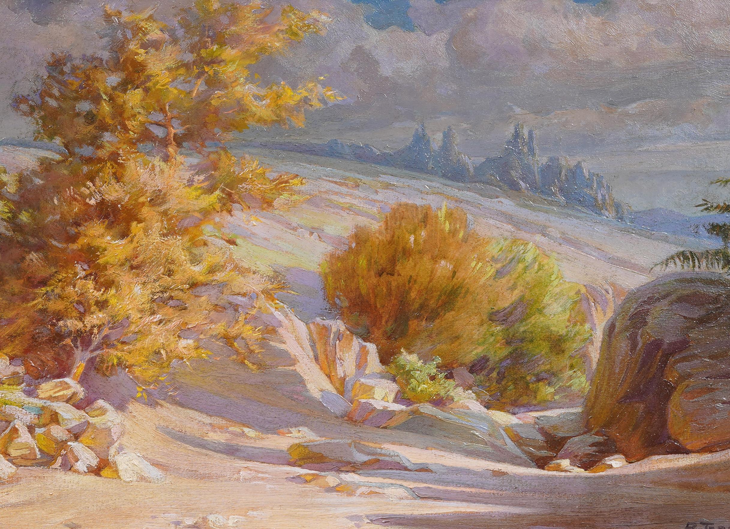 Cette peinture à l'huile italienne ancienne représente un paysage de montagne éclairé par le soleil, rendu dans des tons dorés et chauds et des pourpres spectaculaires. Peinte dans un style impressionniste, la composition capture un chemin rocheux