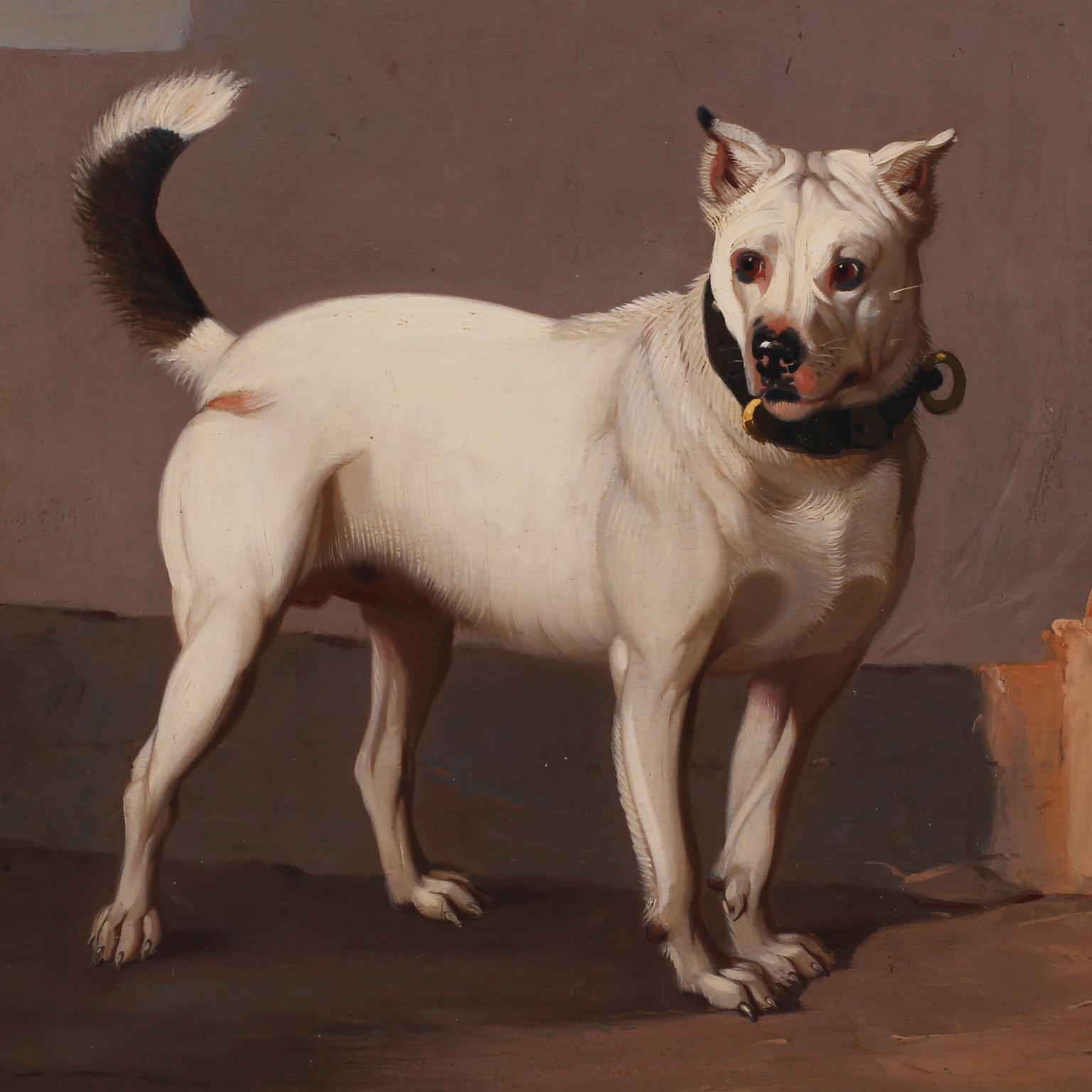 Peinture à l'huile ancienne sur panneau représentant un chien blanc pris dans un moment de spéculation dans une scène d'extérieur. Signée William Melbon et présentée dans un cadre en bois ébonisé plus récent.