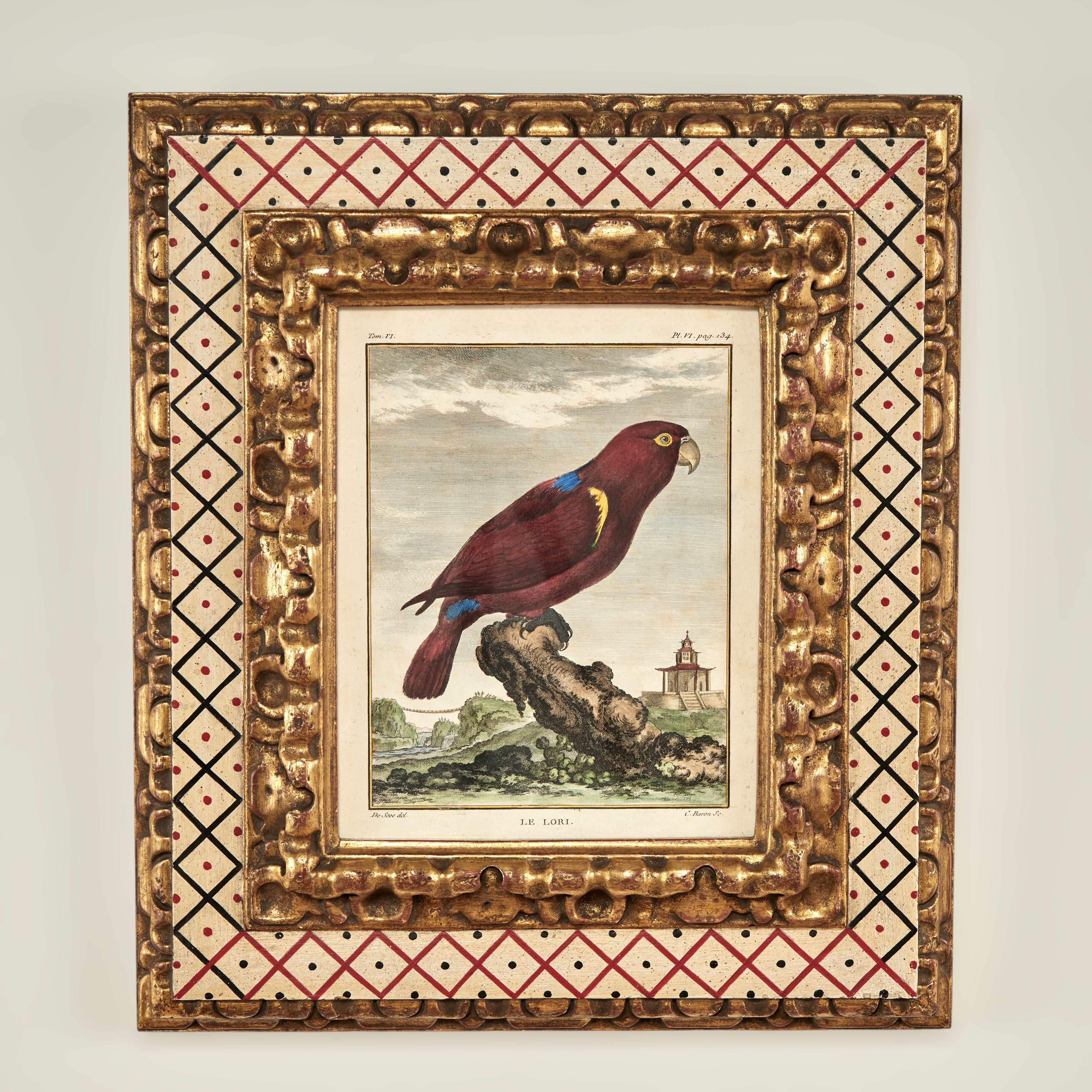 Ensemble ancien de huit gravures de perroquets colorées à la main en vente 6