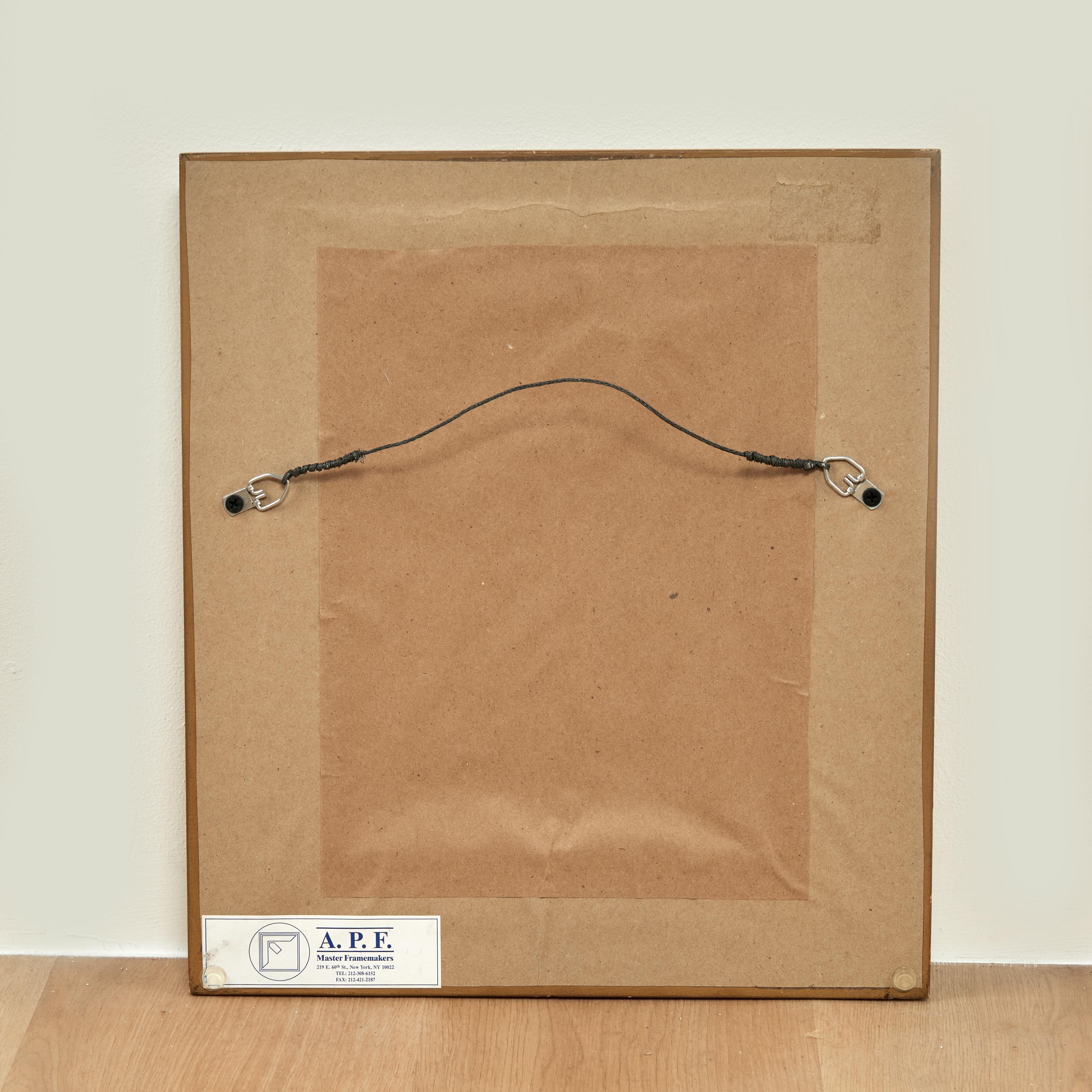 Ensemble ancien de huit gravures de perroquets colorées à la main en vente 14