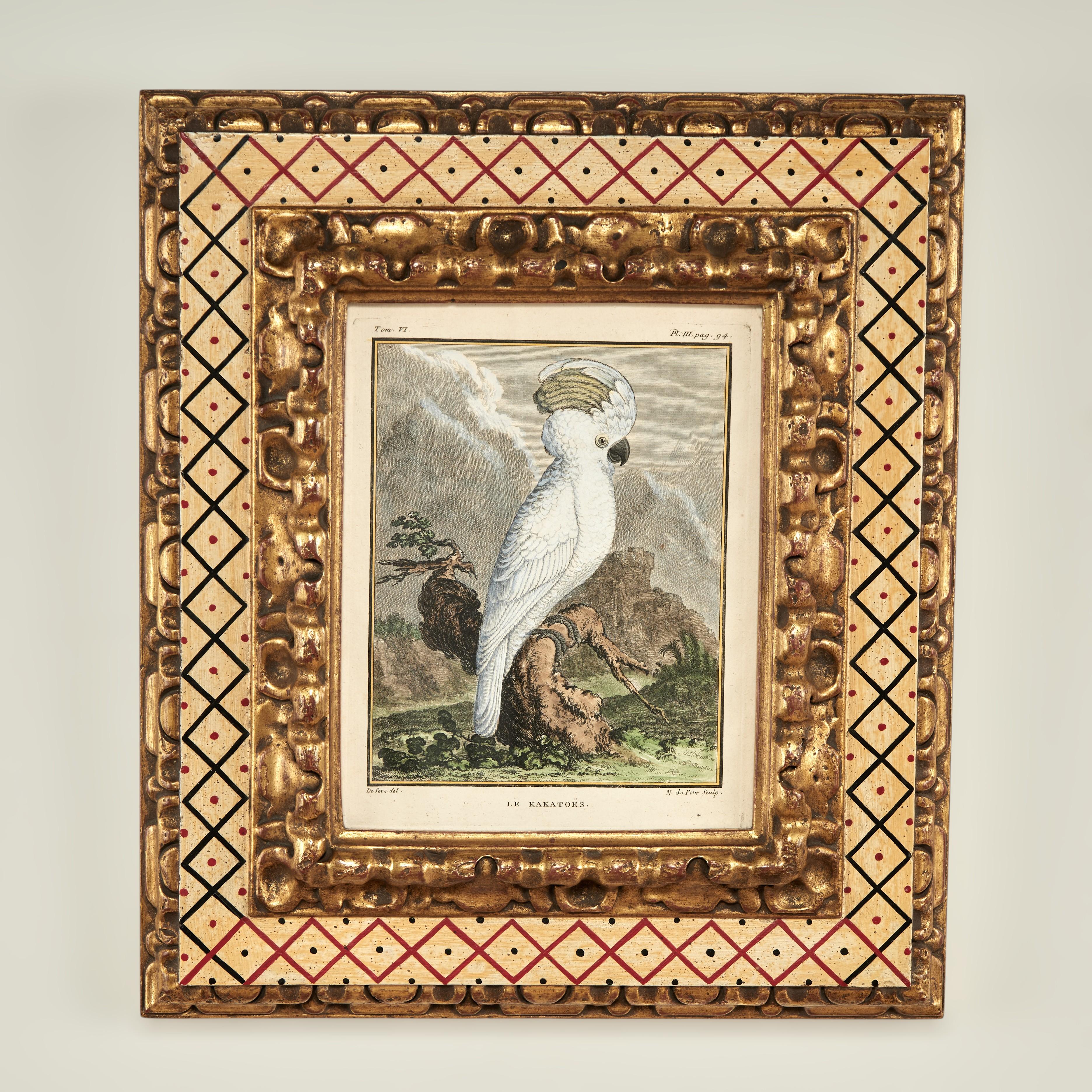 Superbe ensemble de huit gravures françaises du XVIIIe siècle, coloriées à la main, représentant des espèces de perroquets telles qu'elles ont été découvertes et notées pour la première fois par des naturalistes érudits. Présentées sous verre dans