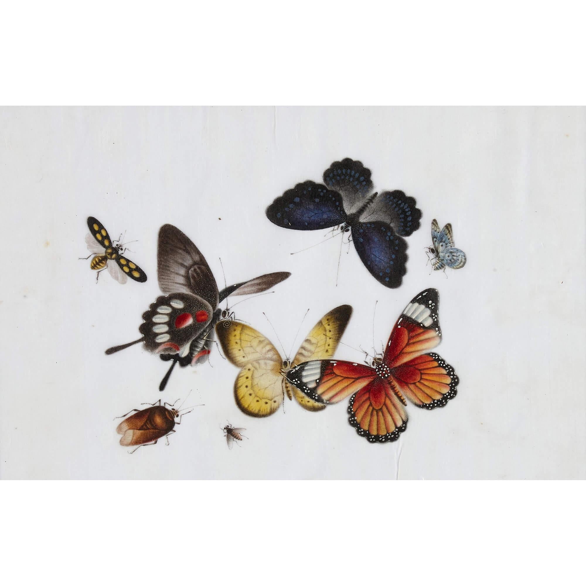 Antique Set of Twelve Chinese Pith Paintings Depicting Butterflies For Sale 2
