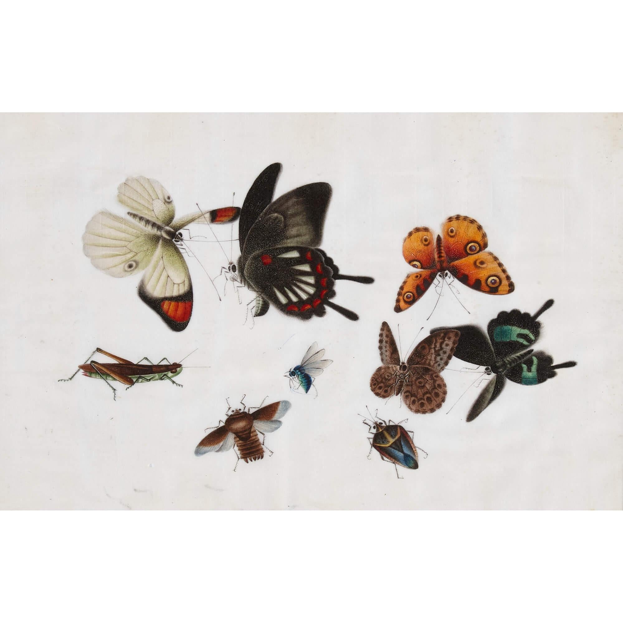 Antique Set of Twelve Chinese Pith Paintings Depicting Butterflies For Sale 5