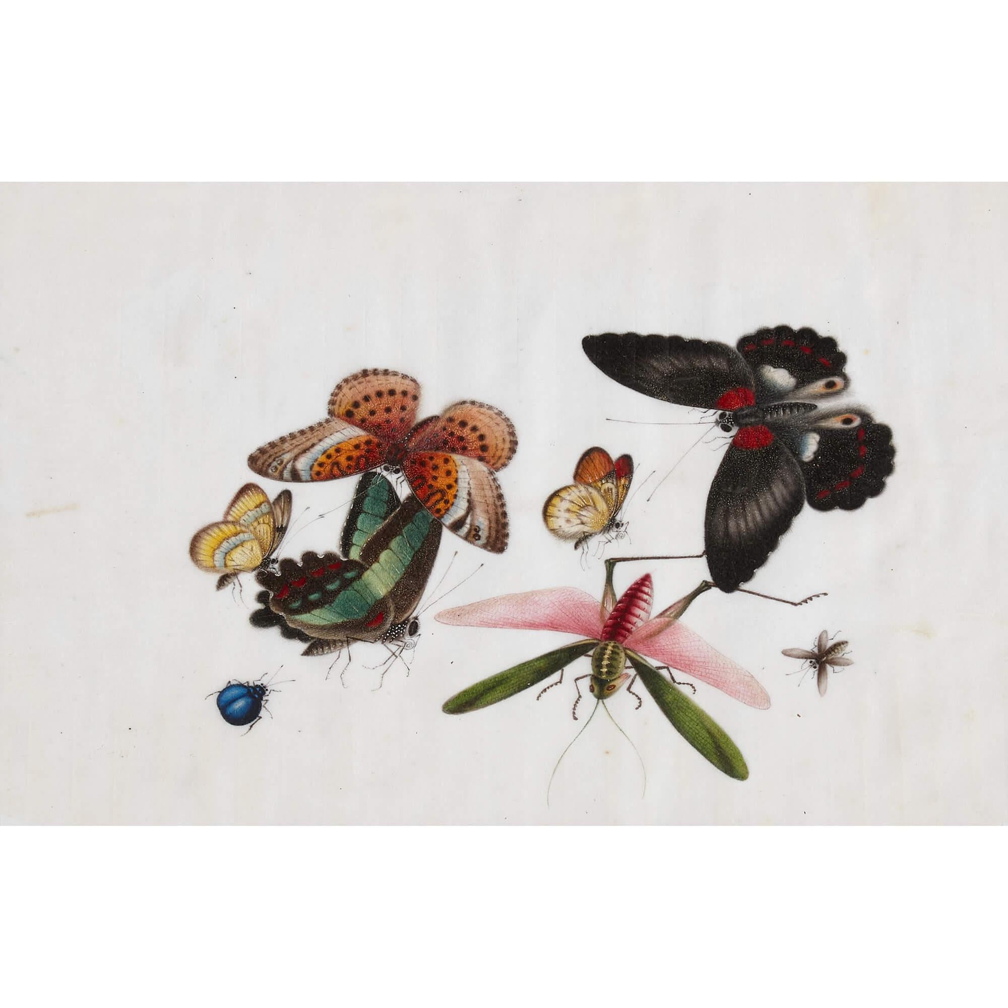Antique Set of Twelve Chinese Pith Paintings Depicting Butterflies For Sale 6