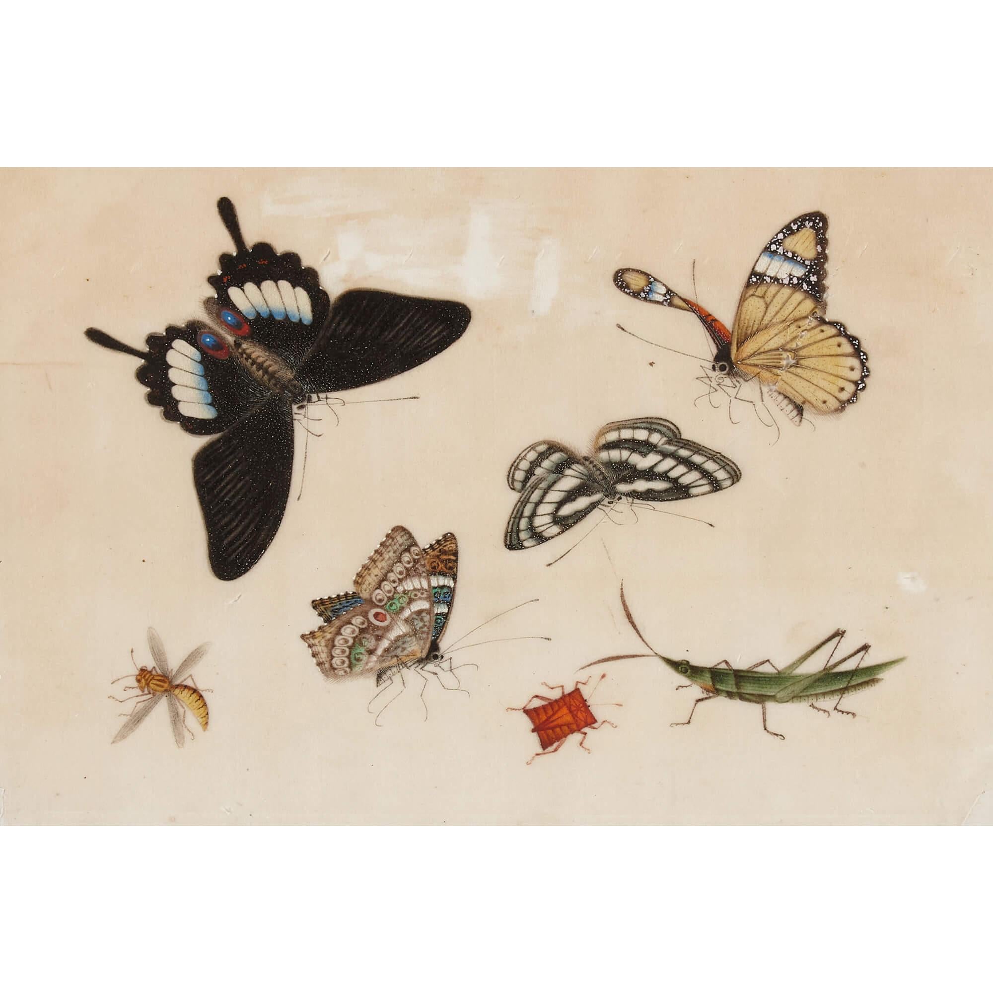 Antique Set of Twelve Chinese Pith Paintings Depicting Butterflies For Sale 7