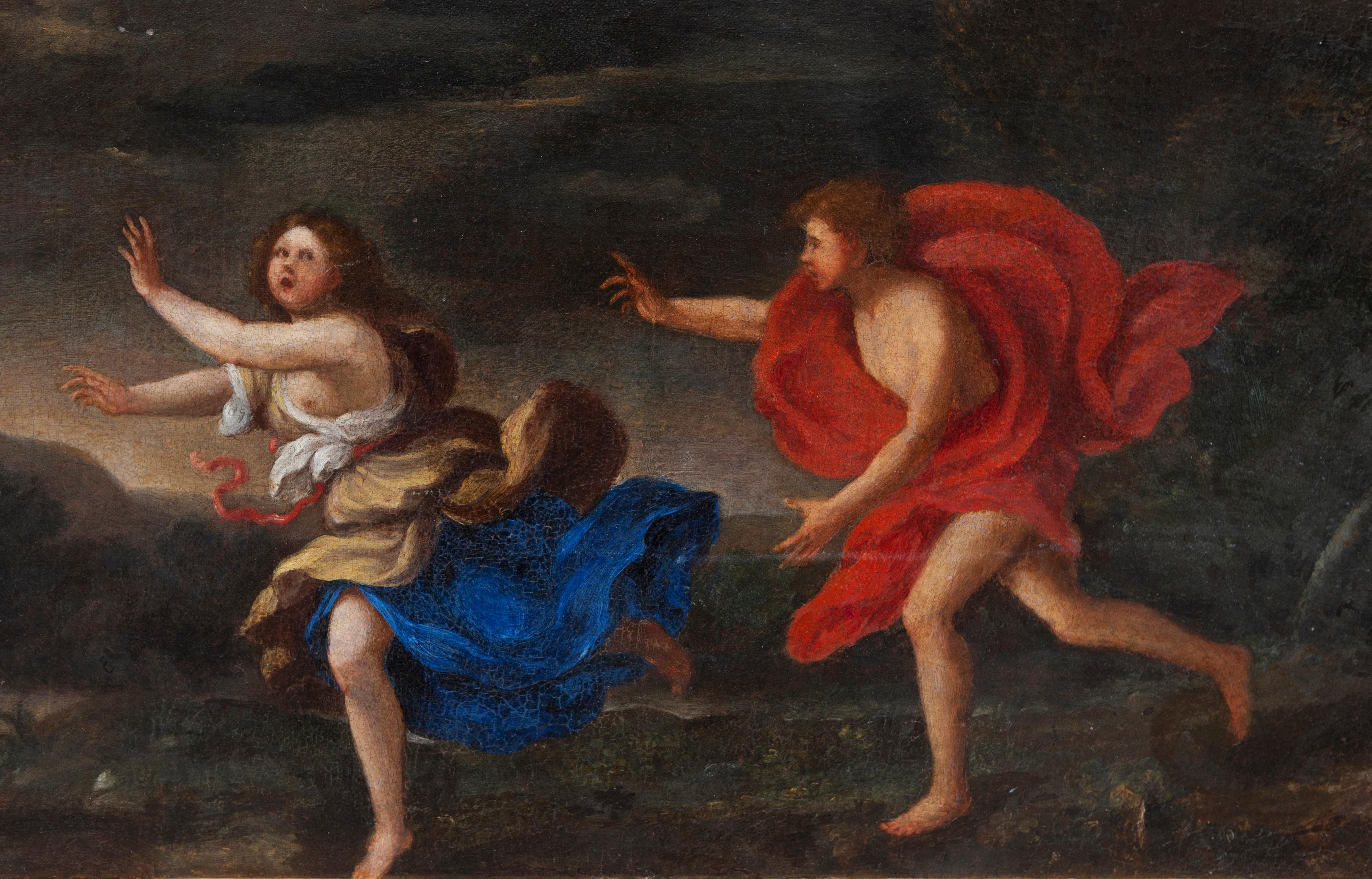 Apollo und Daphne - Maler aus dem 17. Jahrhundert (Black), Figurative Painting, von Unknown