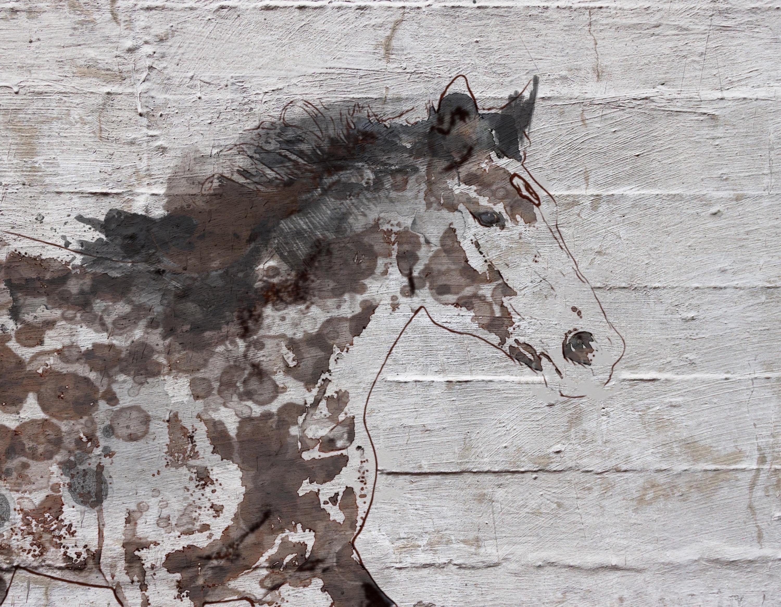 Arizona Horse Farmhouse Rustic Horse Fine Art Hand Embellished Giclee on Canvas - Mixed Media Art by Irena Orlov