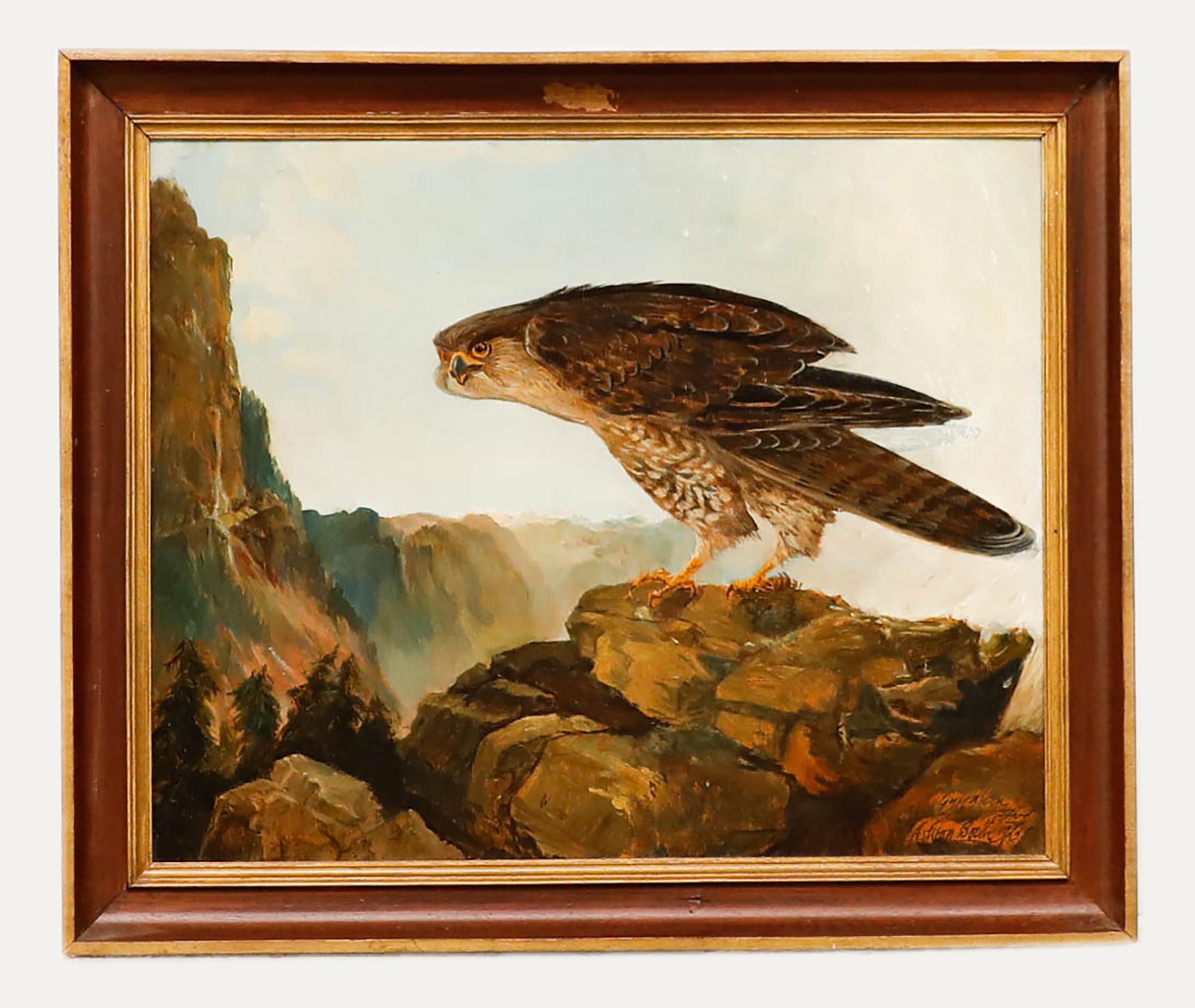 Ashton Booth - Gerahmtes Ölgemälde des 20. Jahrhunderts, Porträt eines Gyrfalcon