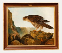 Ashton Booth - Huile du 20e siècle encadrée, Portrait d'un Gyrfalcon