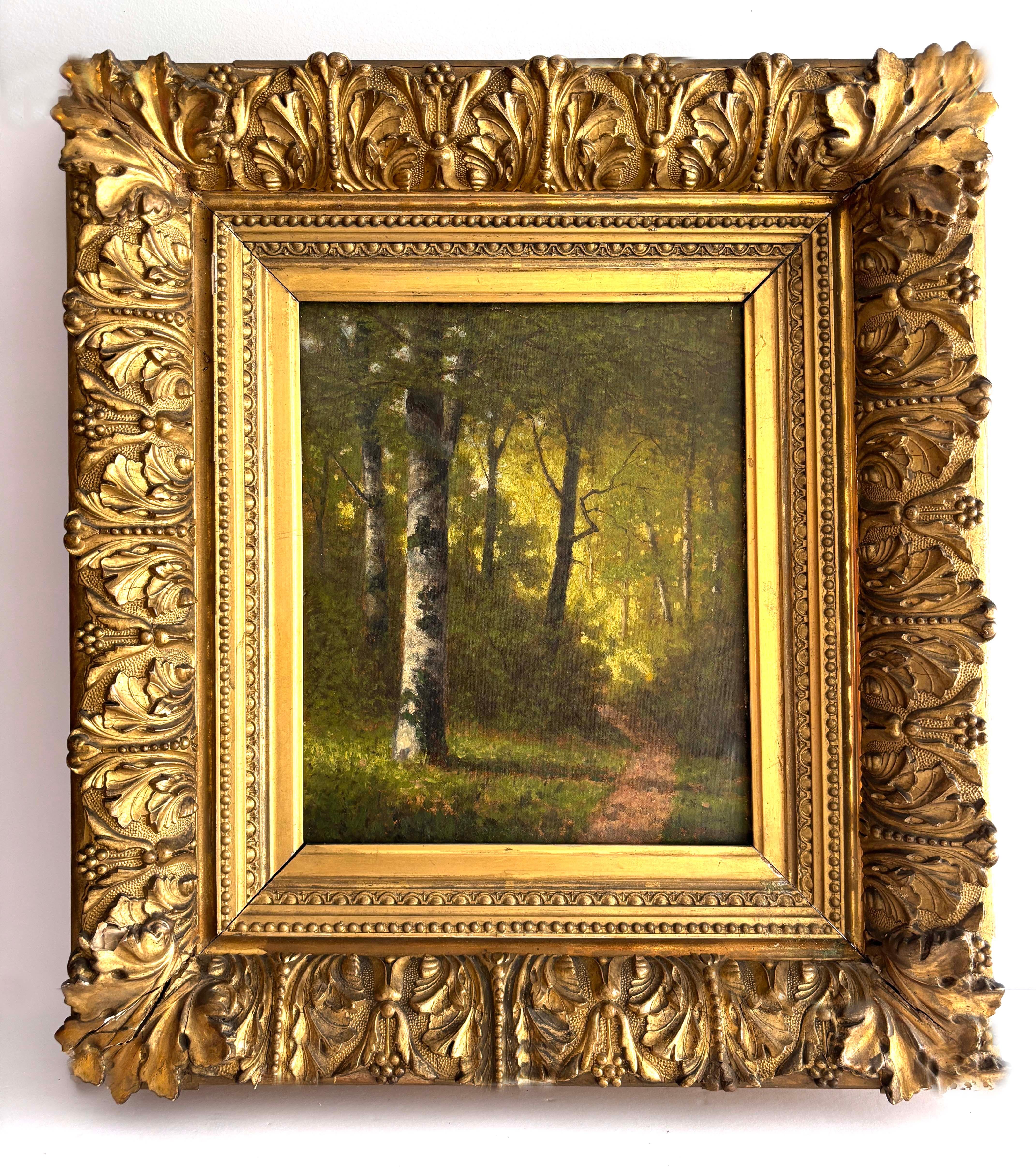 Pittura ad olio della Scuola di Barbizon del XIX secolo Sentiero di bosco illuminato dal sole Alberi di betulla con cornice - Painting di Unknown