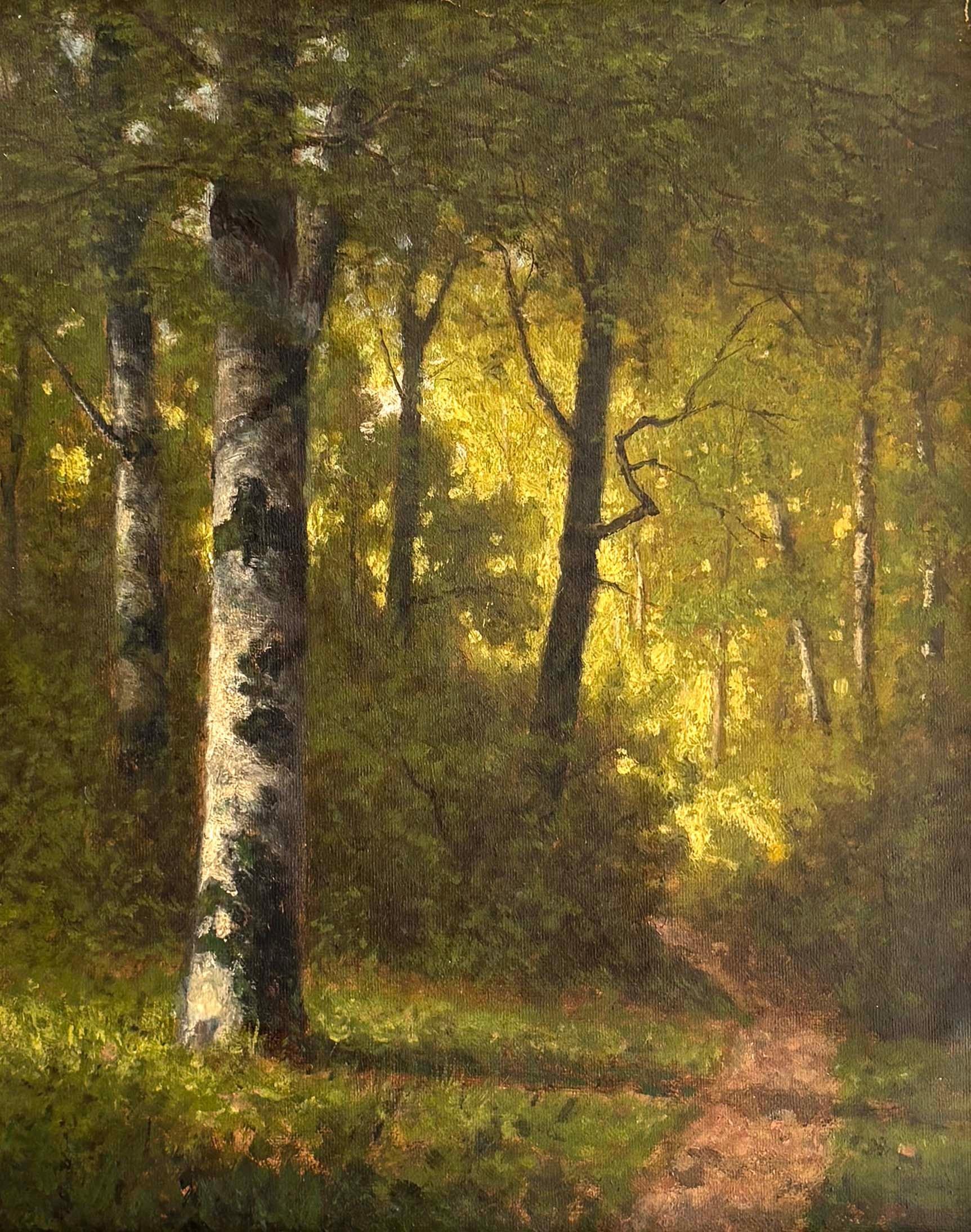 Pittura ad olio della Scuola di Barbizon del XIX secolo Sentiero di bosco illuminato dal sole Alberi di betulla con cornice - Landscape Painting Marrone di Unknown