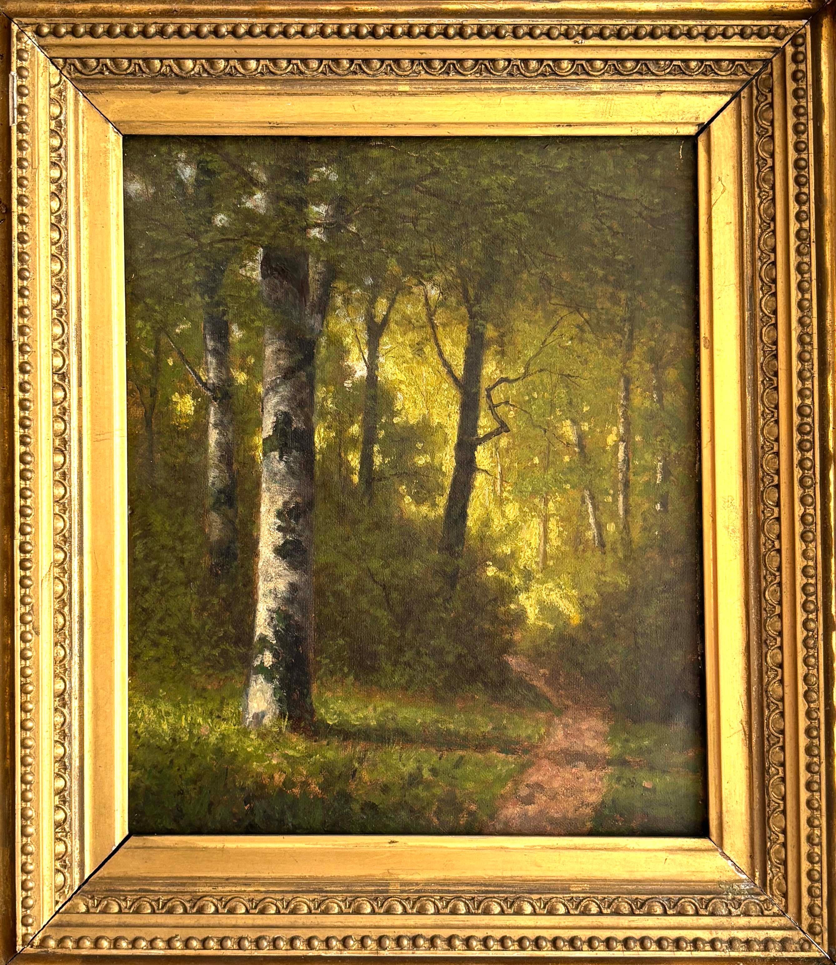 Pittura ad olio della Scuola di Barbizon del XIX secolo Sentiero di bosco illuminato dal sole Alberi di betulla con cornice in vendita 1