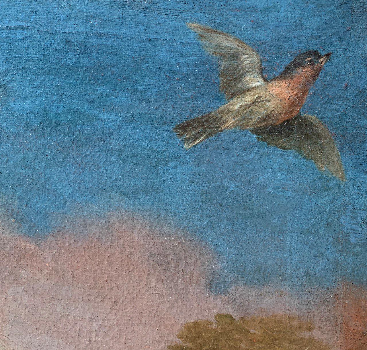 Baroque Flemish master - 17th century animal painting - Live nature turkey ducks For Sale 9