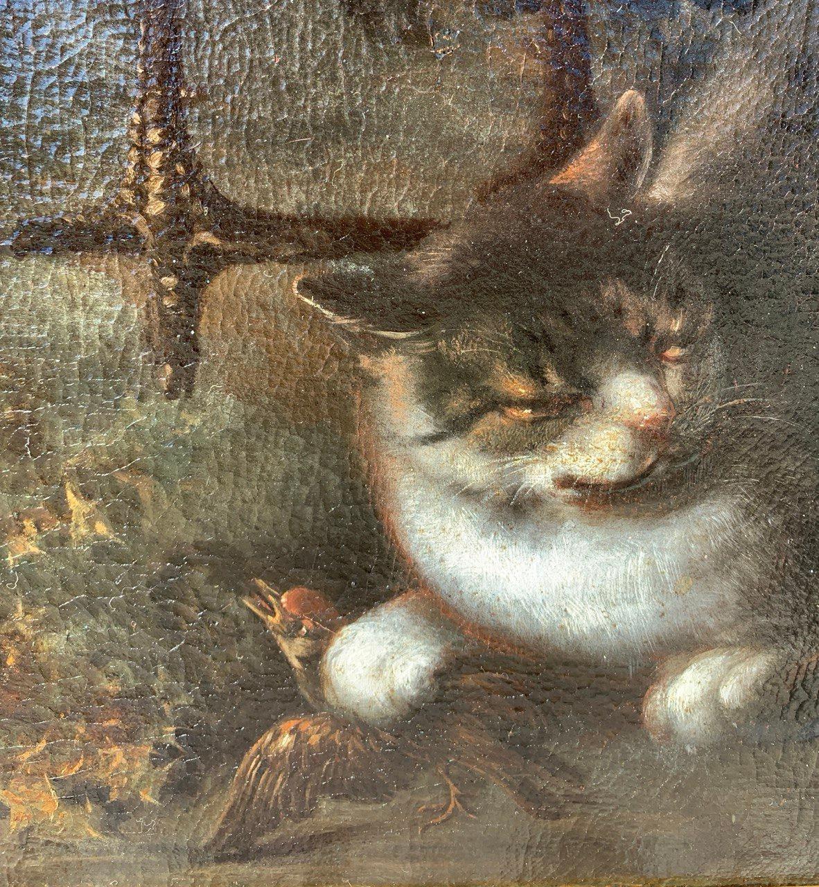Baroque Flemish master - 17th century animal painting - Live nature turkey ducks For Sale 10