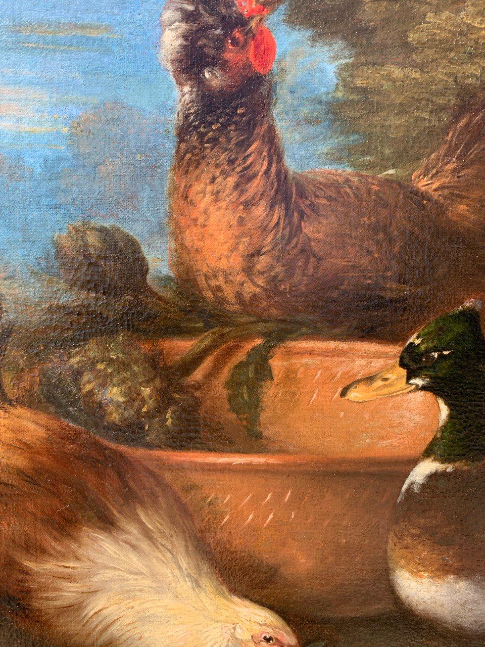 Baroque Flemish master - 17th century animal painting - Live nature turkey ducks For Sale 10