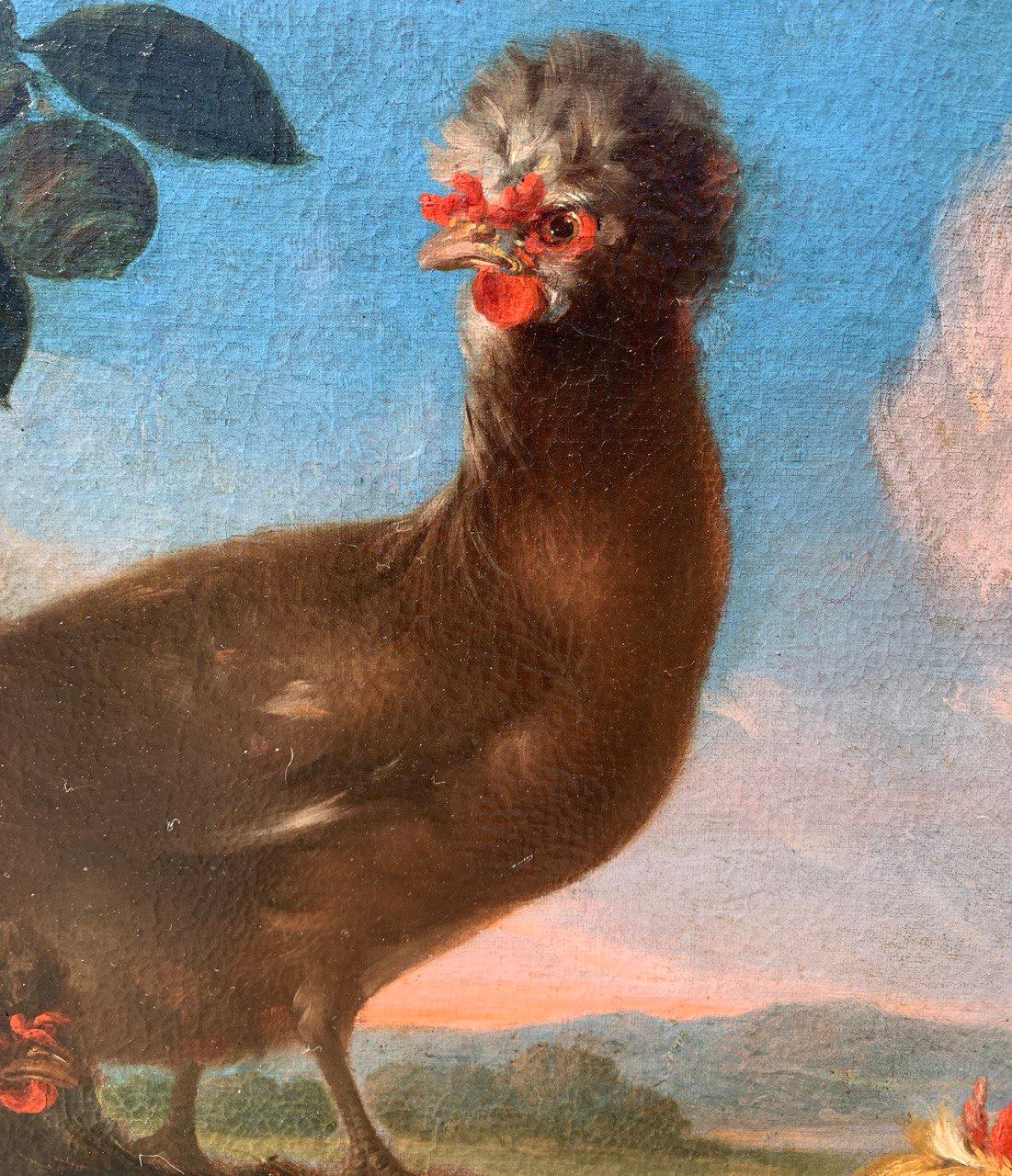 Baroque Flemish master - 17th century animal painting - Live nature turkey ducks For Sale 11