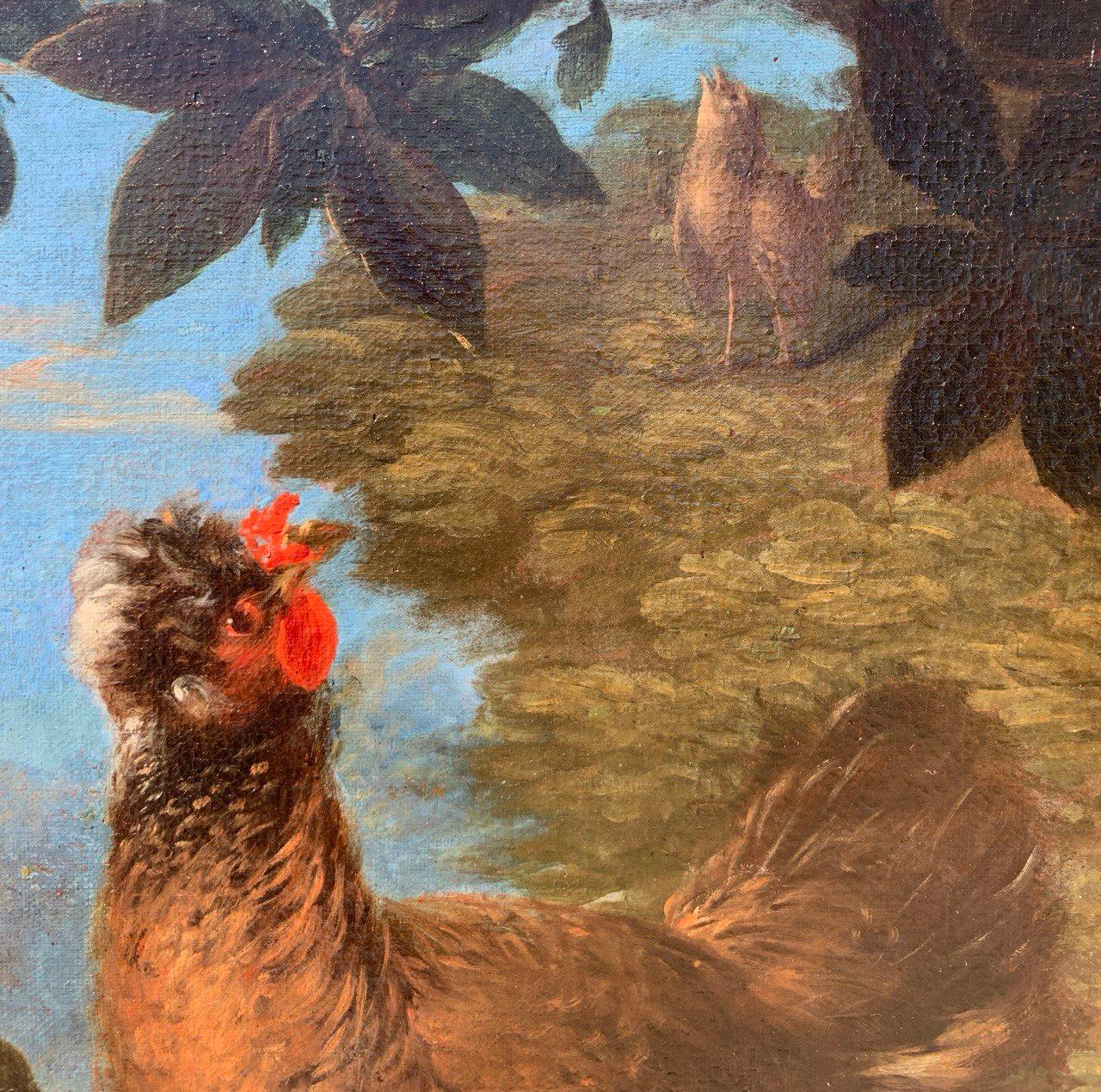 Baroque Flemish master - 17th century animal painting - Live nature turkey ducks For Sale 11
