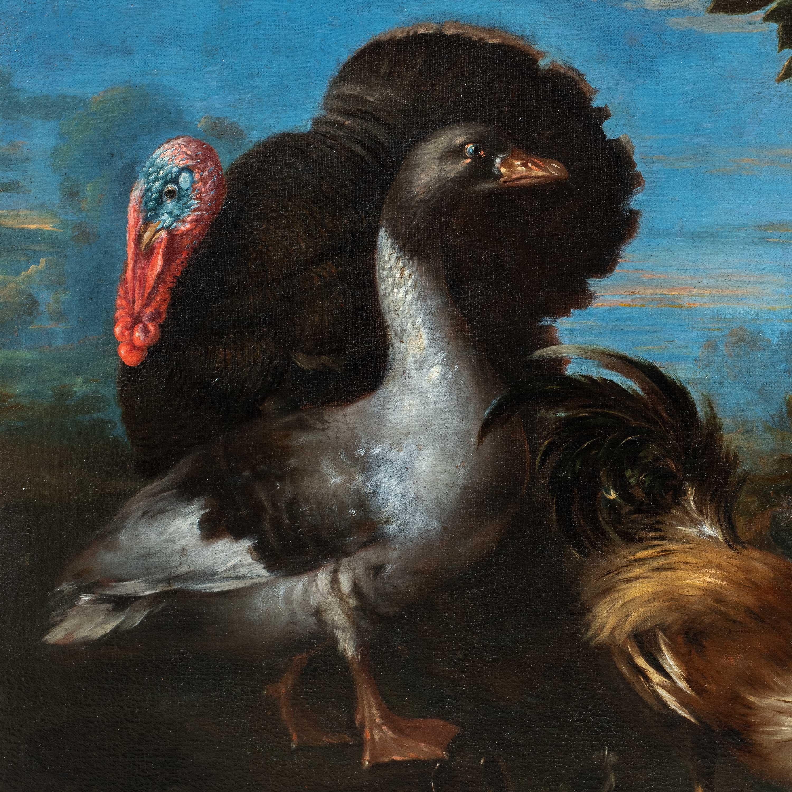 Baroque Flemish master - 17th century animal painting - Live nature turkey ducks - Painting by Unknown