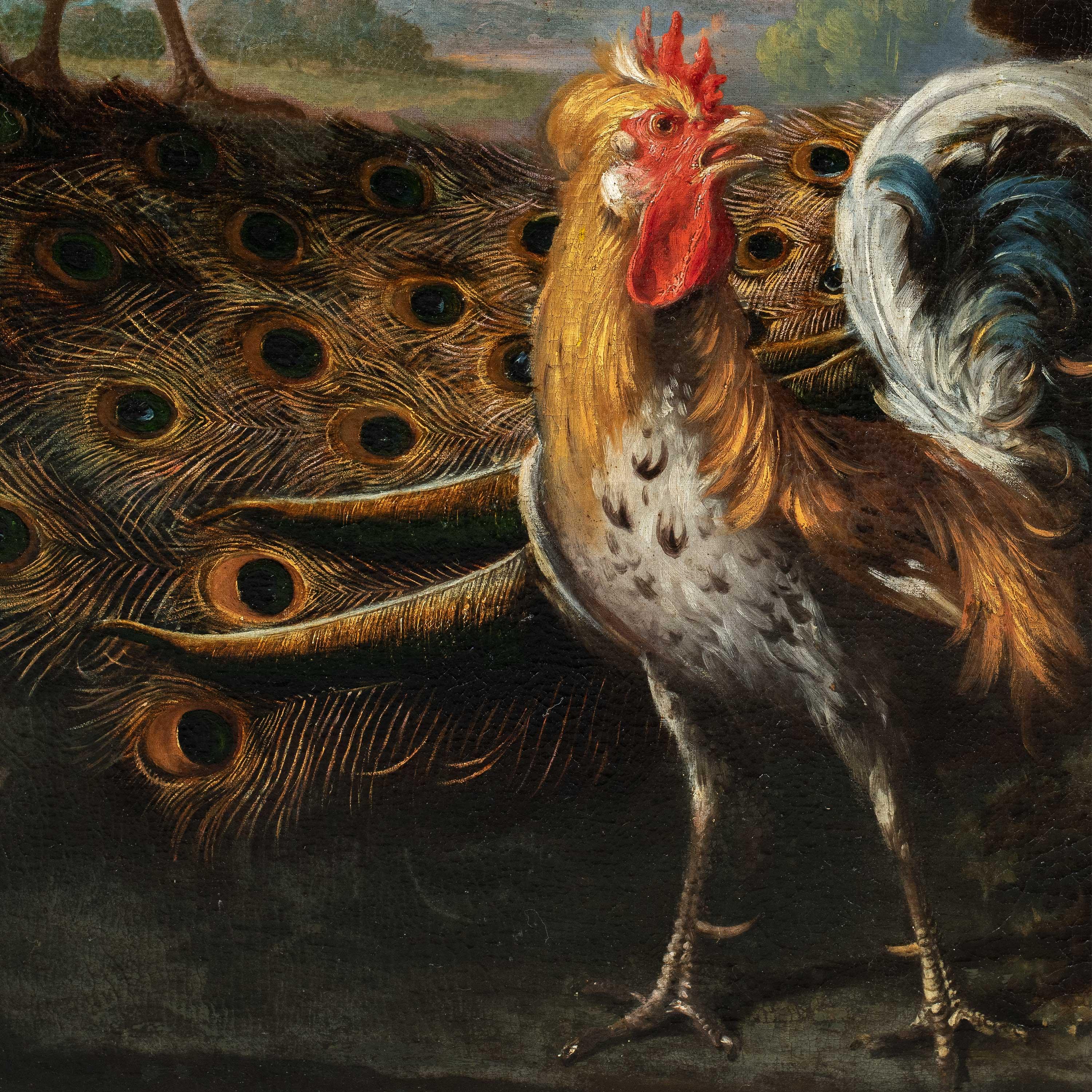 Baroque Flemish master - 17th century animal painting - Live nature turkey ducks - Black Landscape Painting by Unknown