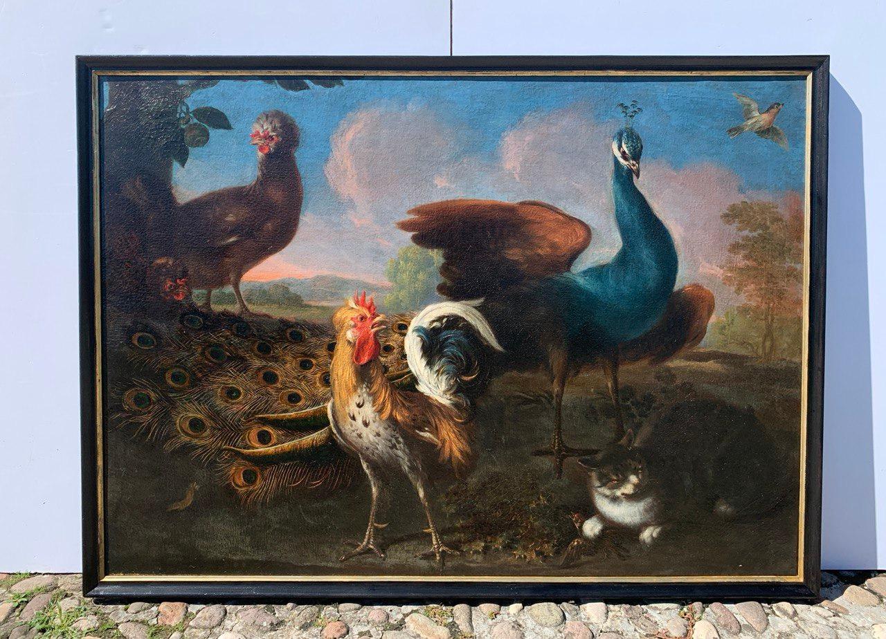 Baroque Flemish master - 17th century animal painting - Live nature turkey ducks For Sale 1