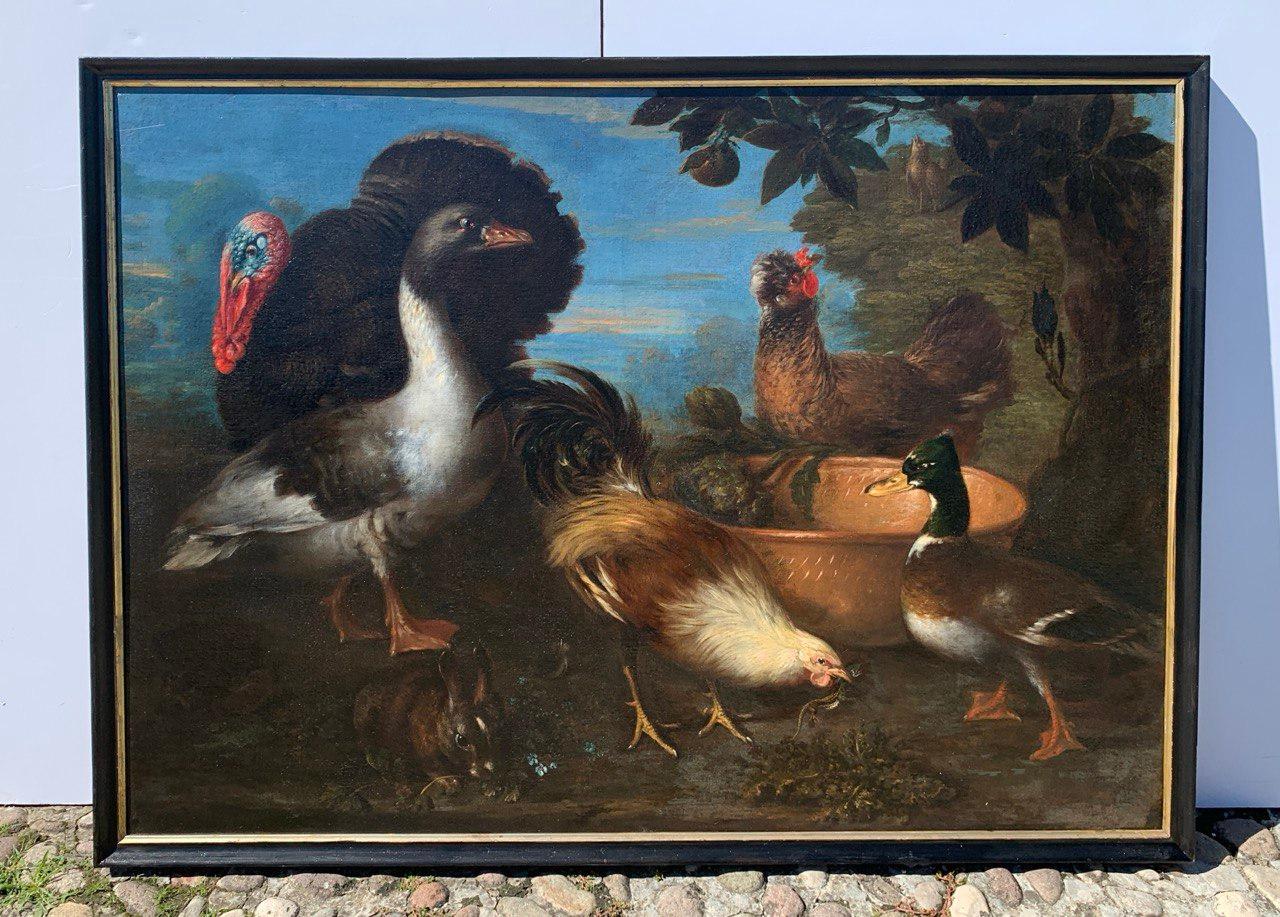 Baroque Flemish master - 17th century animal painting - Live nature turkey ducks For Sale 1