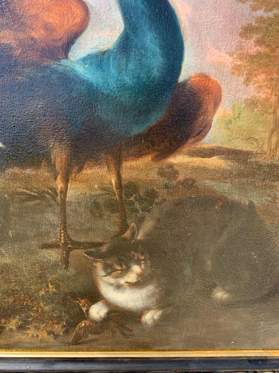 Baroque Flemish master - 17th century animal painting - Live nature turkey ducks For Sale 2