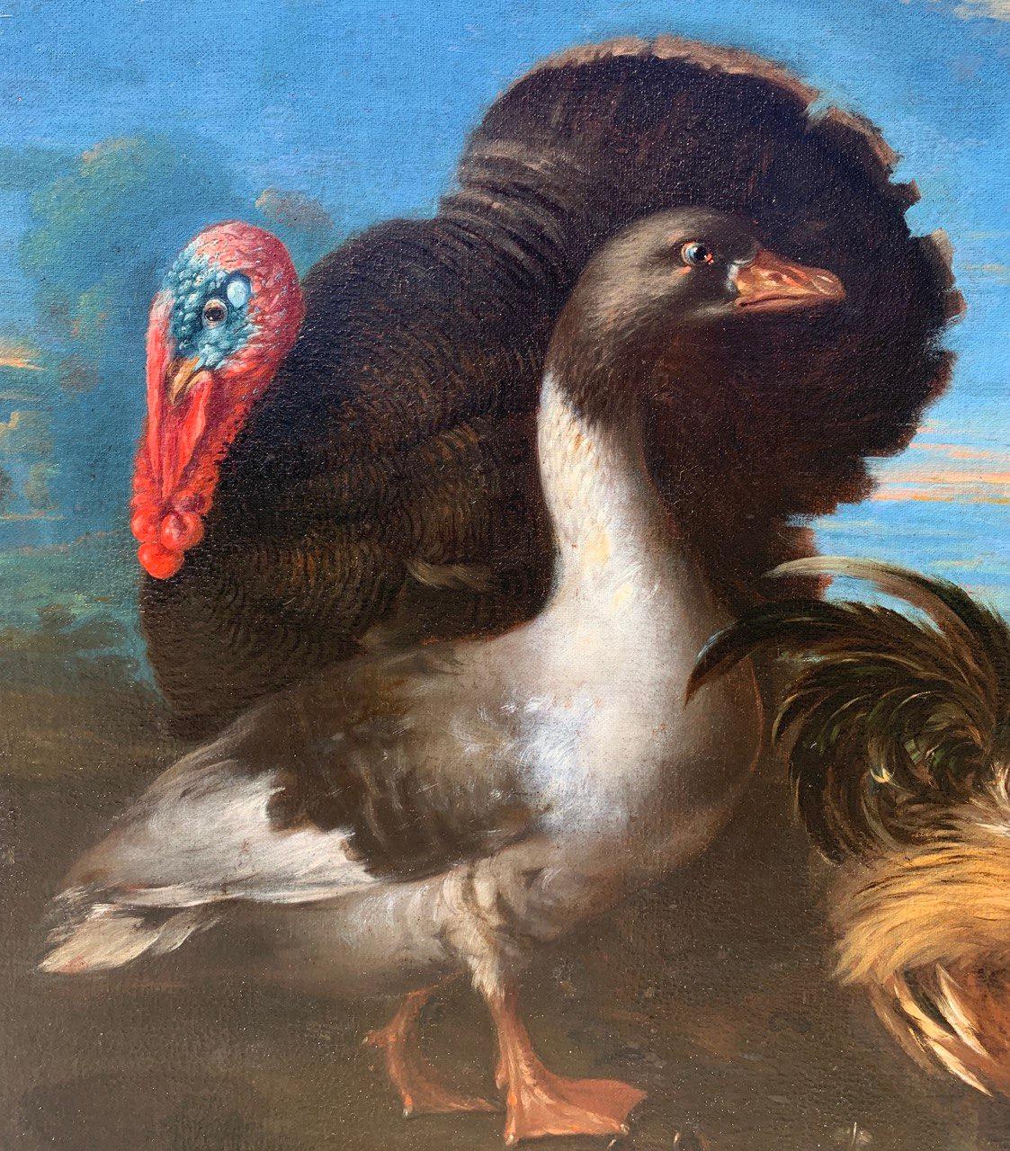 Baroque Flemish master - 17th century animal painting - Live nature turkey ducks For Sale 2