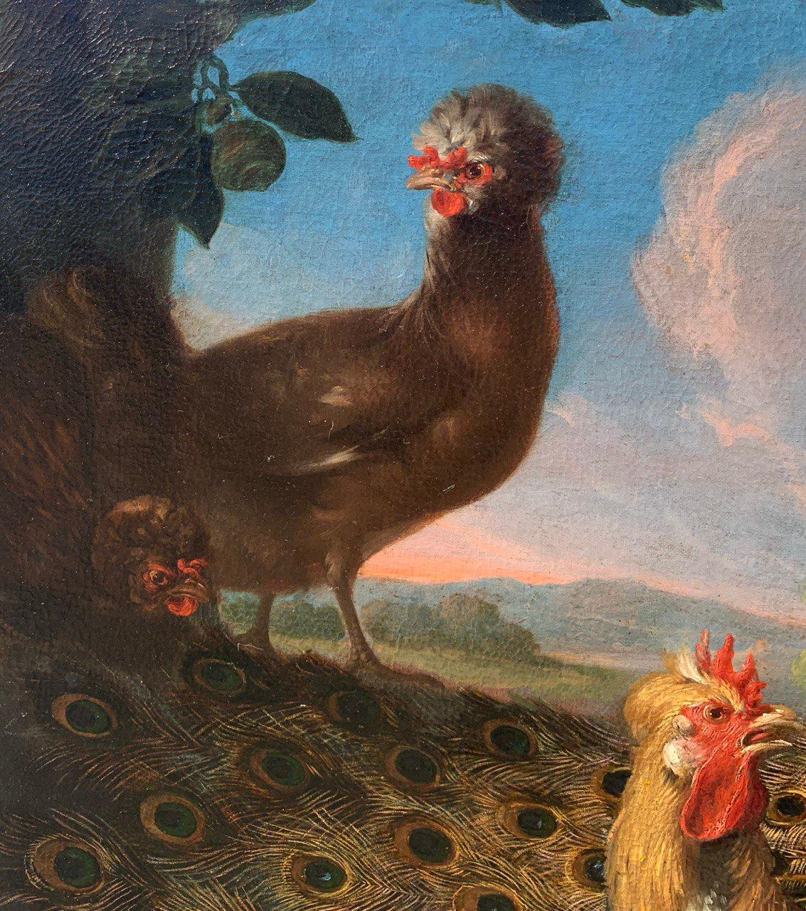 Baroque Flemish master - 17th century animal painting - Live nature turkey ducks For Sale 3