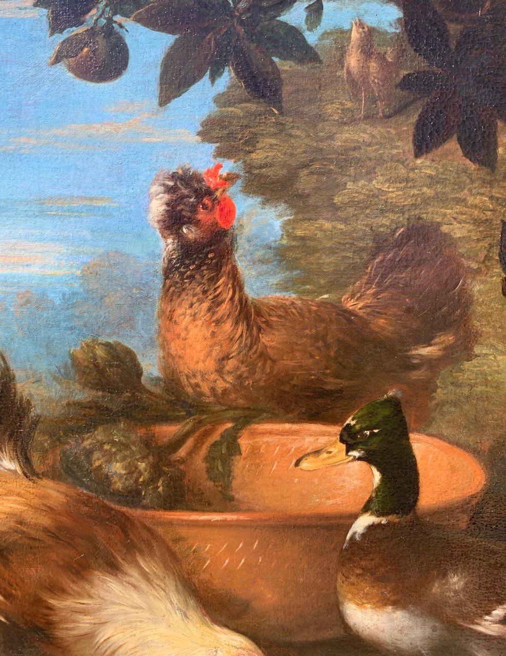 Baroque Flemish master - 17th century animal painting - Live nature turkey ducks For Sale 3