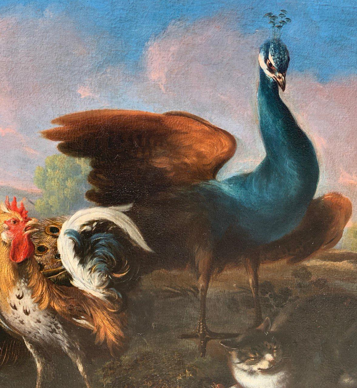 Baroque Flemish master - 17th century animal painting - Live nature turkey ducks For Sale 4